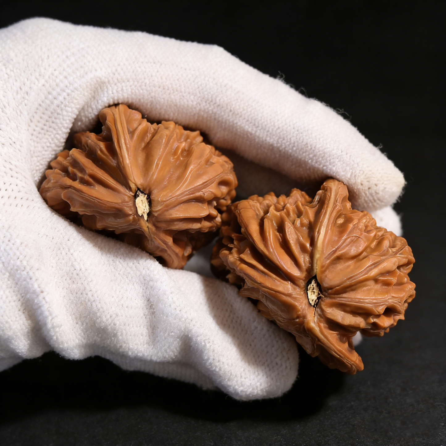 The "Millstone" Half-Wall – 41mm Rare Squat Pair | #MP-93 (Actual Item Pictured)