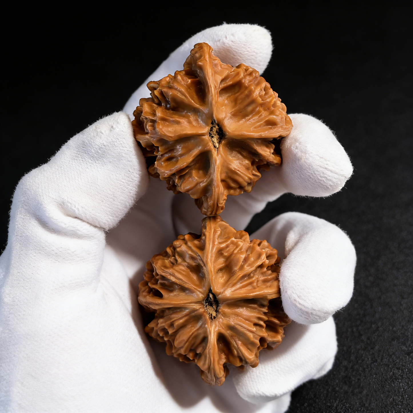 The "General's Hat" (Er Ye Mao) – 43mm "Heaven & Earth" Giant Pair | #EYM-21 (Actual Item Pictured)