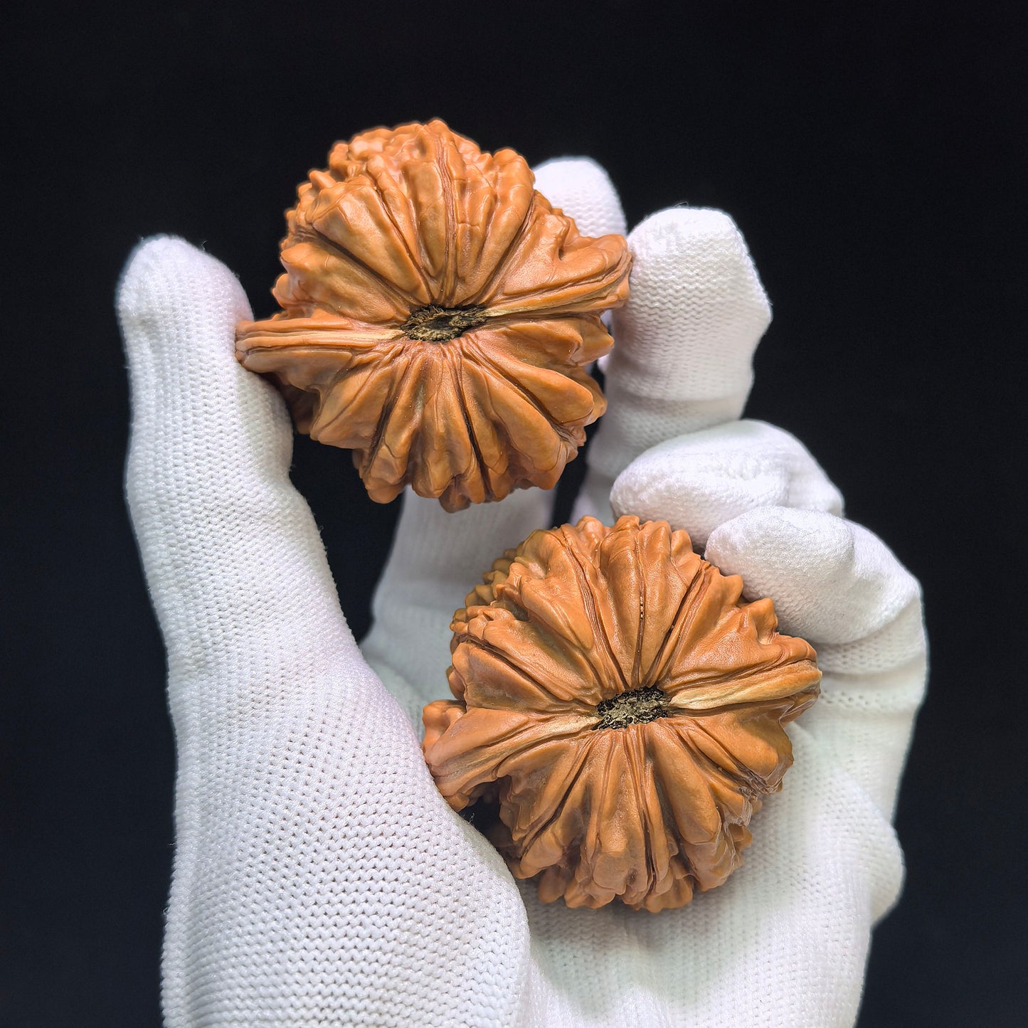 "Huakun Dragon" Huakunlong Wenwan Walnuts Pair | 48.0mm x 46.0mm | HKL-1551C