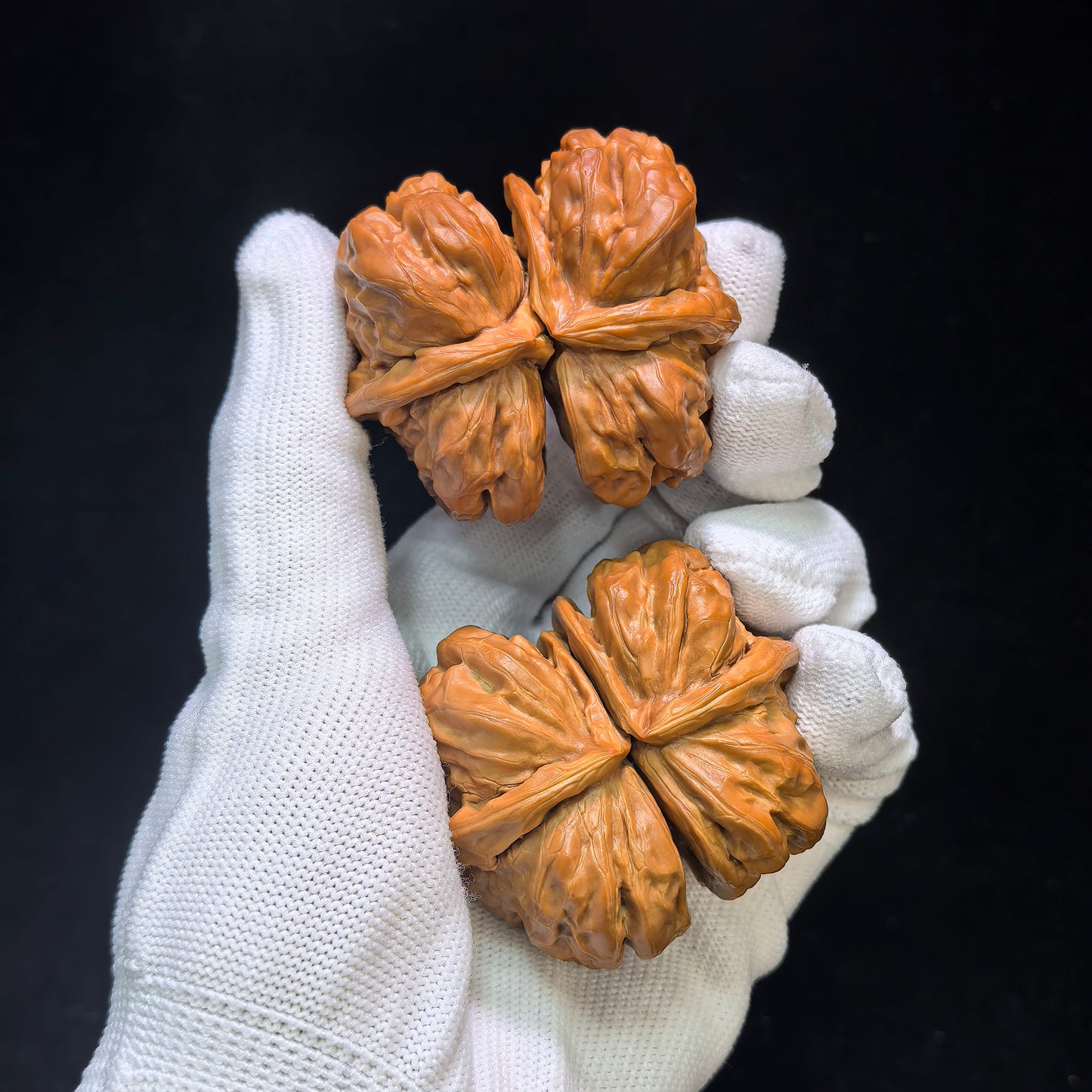 Museum-Grade "Toad Head Butterfly Conjoined Twin" (Ha Ma Tou Hu Die Lian Ti) Wild Scholar Walnut | Ultra-Rare 52.0mm x 45.0mm | High-End Collector Masterpiece | Stock ID: HDLLT-C01E