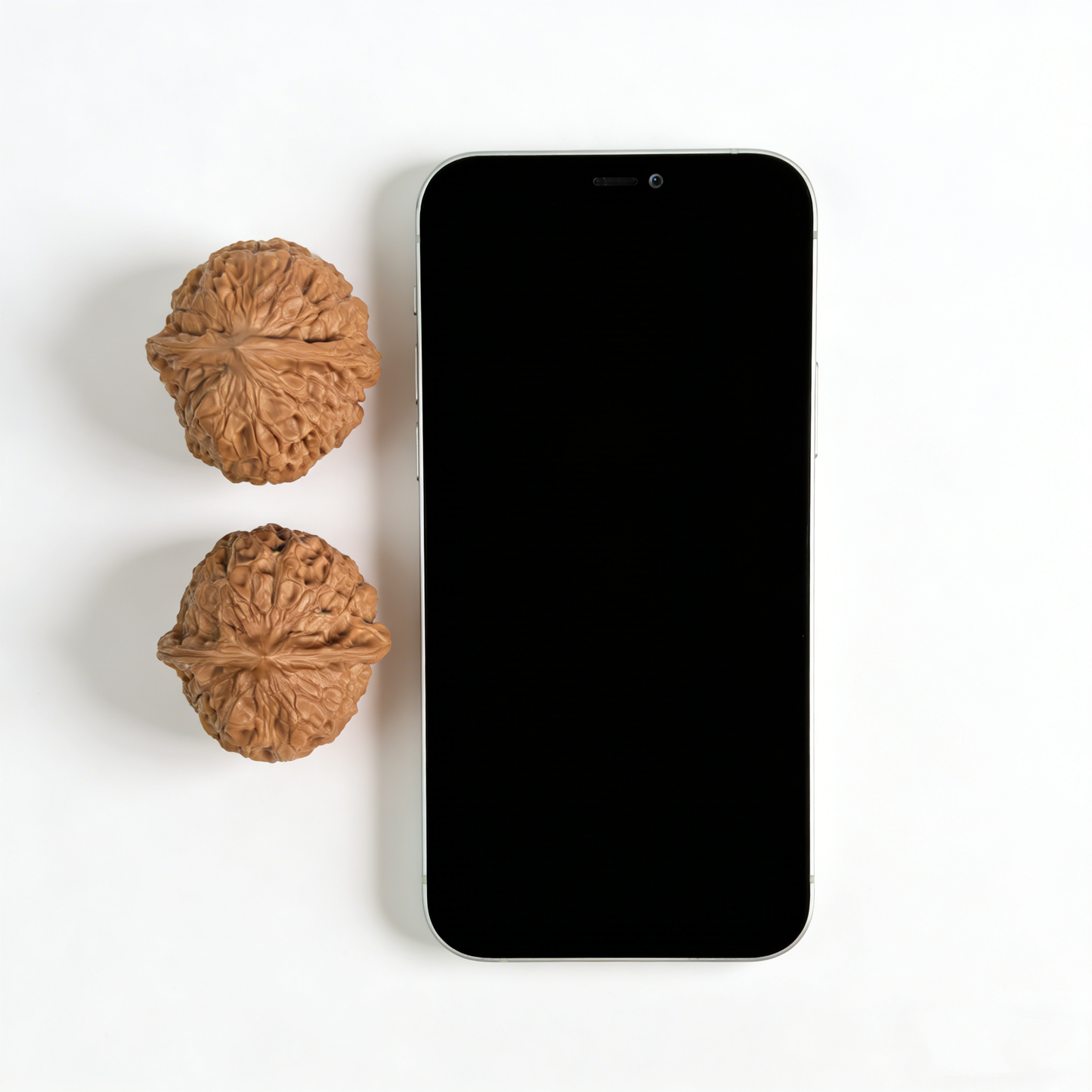 The "Nan Gua Dun" (Pumpkin) Pair | 40.0mm | NGD-01