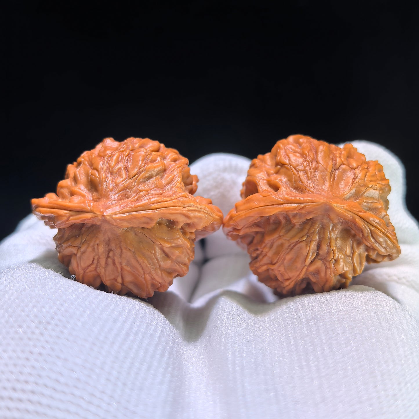 The "Panshan Dolphin" (Xiao Hai Tun) Collector’s Pair | 35.0mm x 31.0mm | XHT-1201E