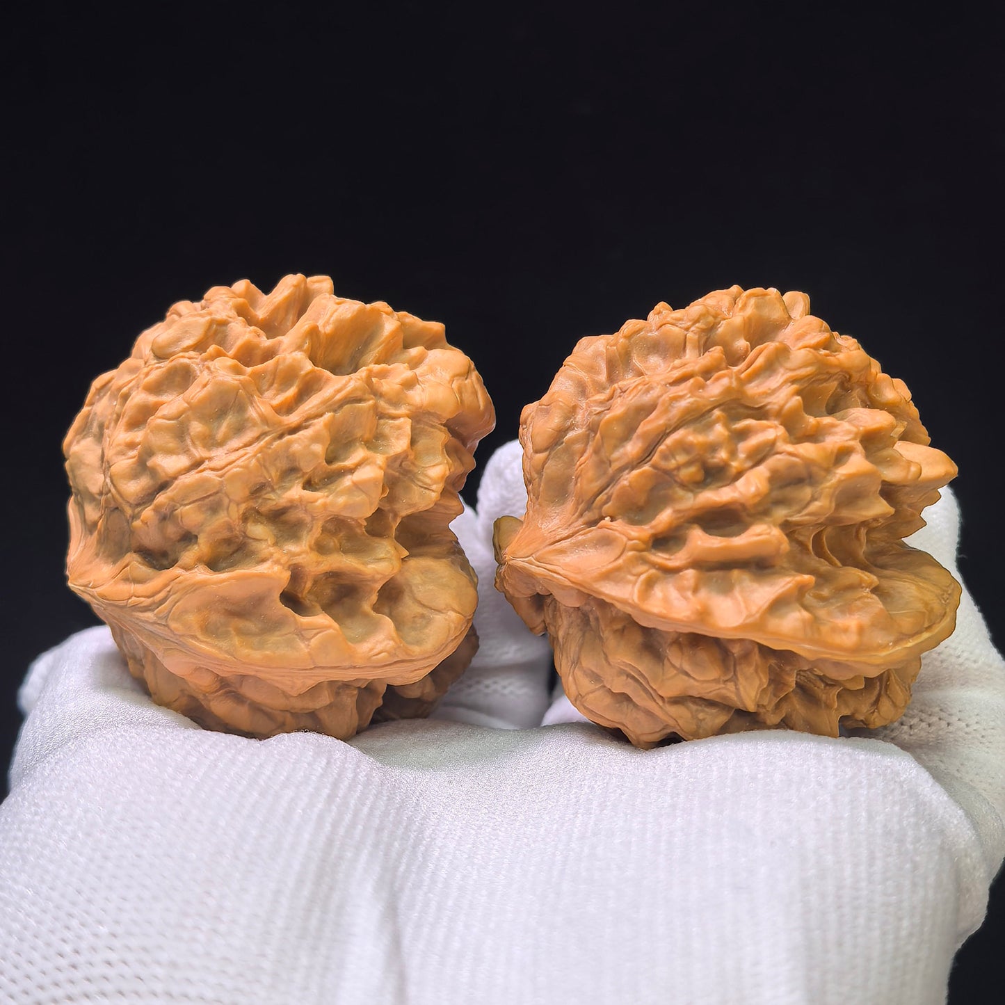 Museumsreifes Riesenpaar „Drachengefäß-Geierschildkröte“ (Long Ding E Gui) | 49.0mm x 49.0mm | 1:1 Match Standard | LDWG-401E