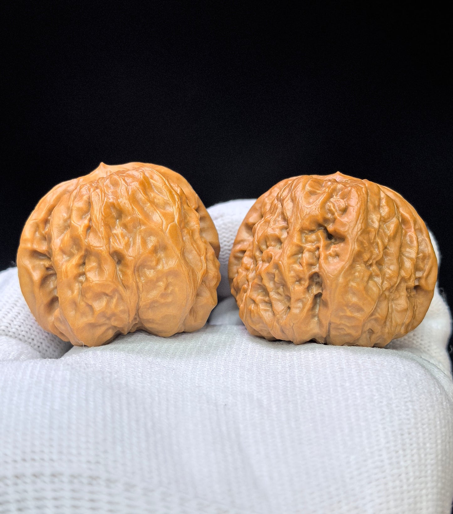 "Toad Head" Hamatou HMT-17H9 Low-Profile Wenwan Walnuts Pair | 40.0mm x 40.0mm | HMT-17H9