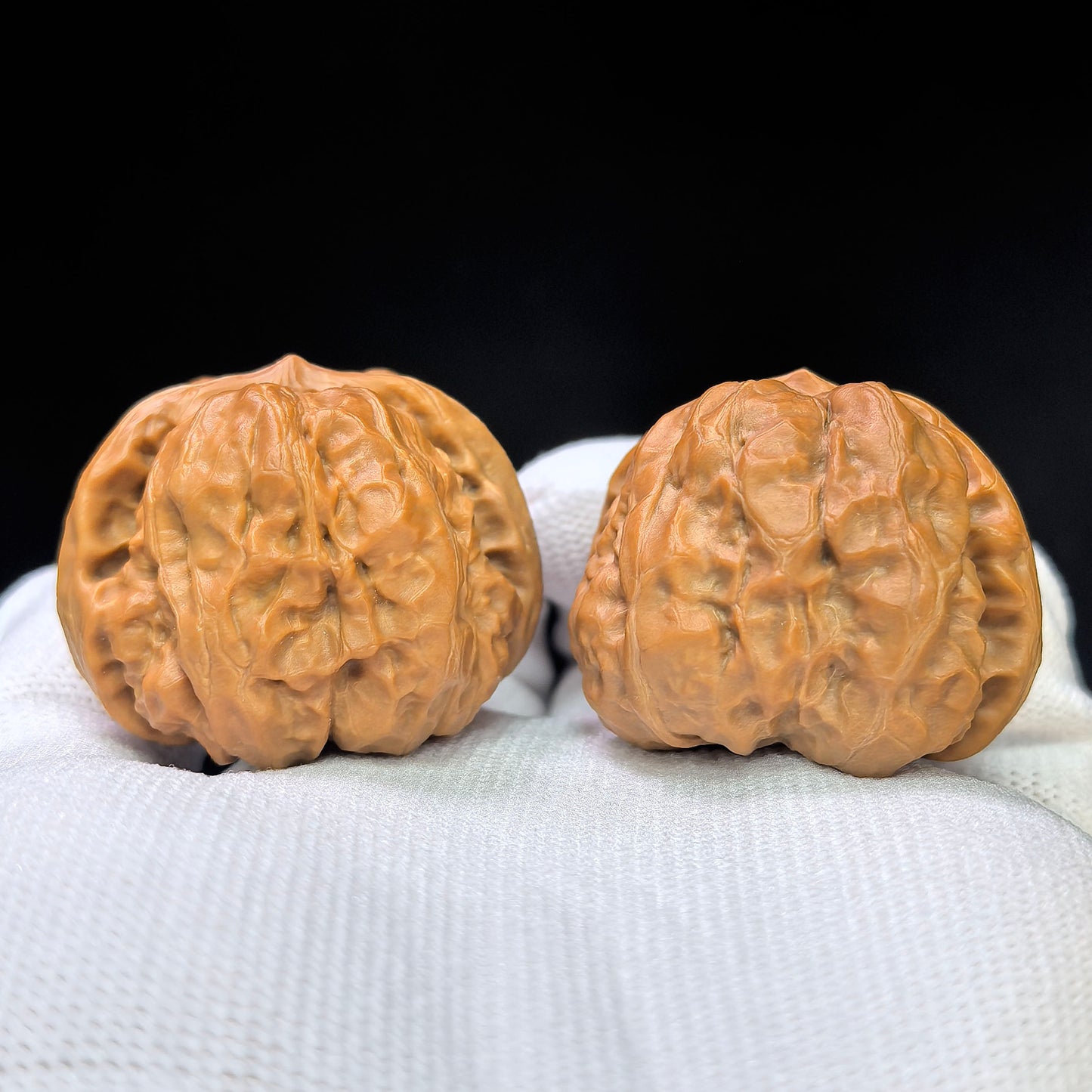 "Toad Head" Hamatou Classic Heritage Low-Profile Wenwan Walnuts Pair | 38.0mm x 38.0mm | HMT-1501C