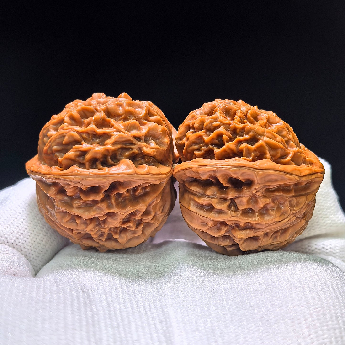 The Royal "Palace Lantern Turtle Shell" Gongdeng Wuguibei Pocket Masterpiece | 34.0mm x 37.0mm | GDWGB-401E