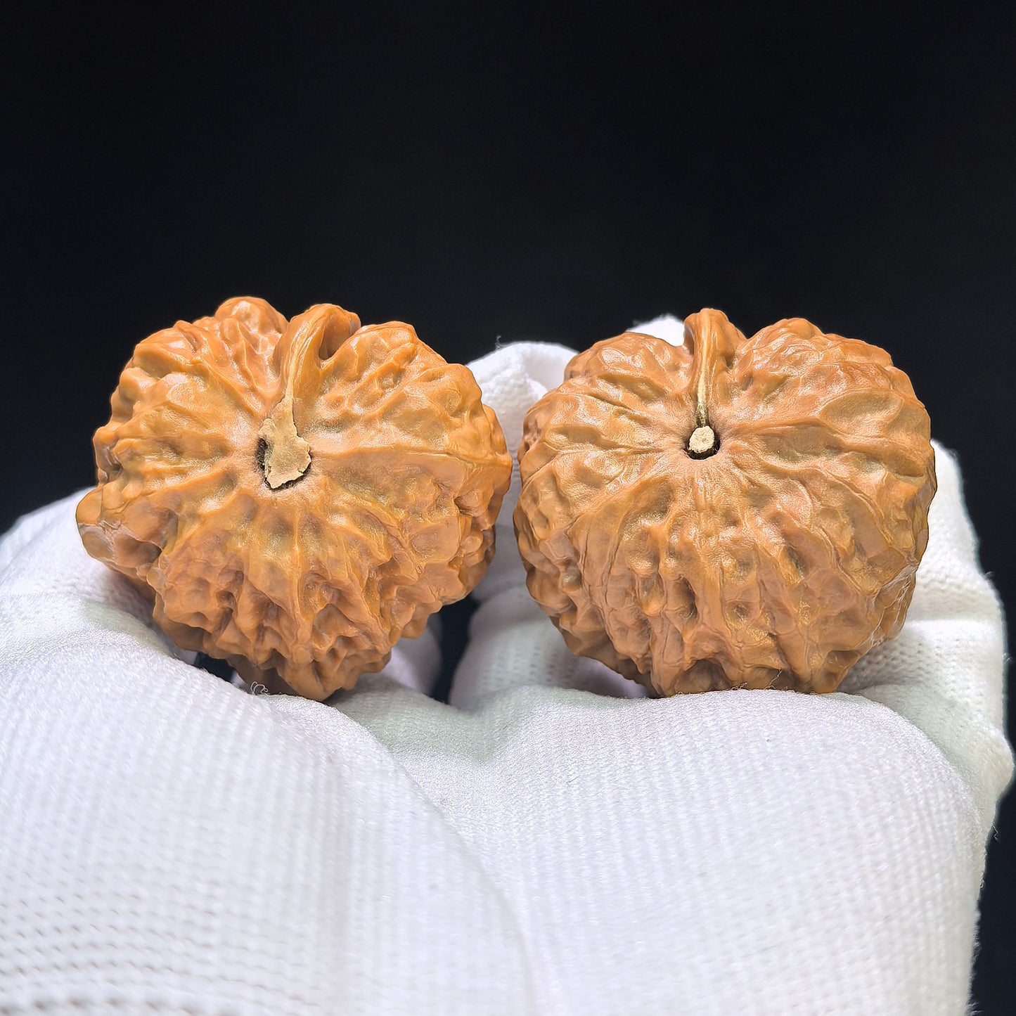 "Toad Head Eagle Beak Smooth Sailing" Hamatyzyf-CG200E Wenwan Walnuts Pair | 38.0mm x 39.0mm | HMTYZYF-CG200E