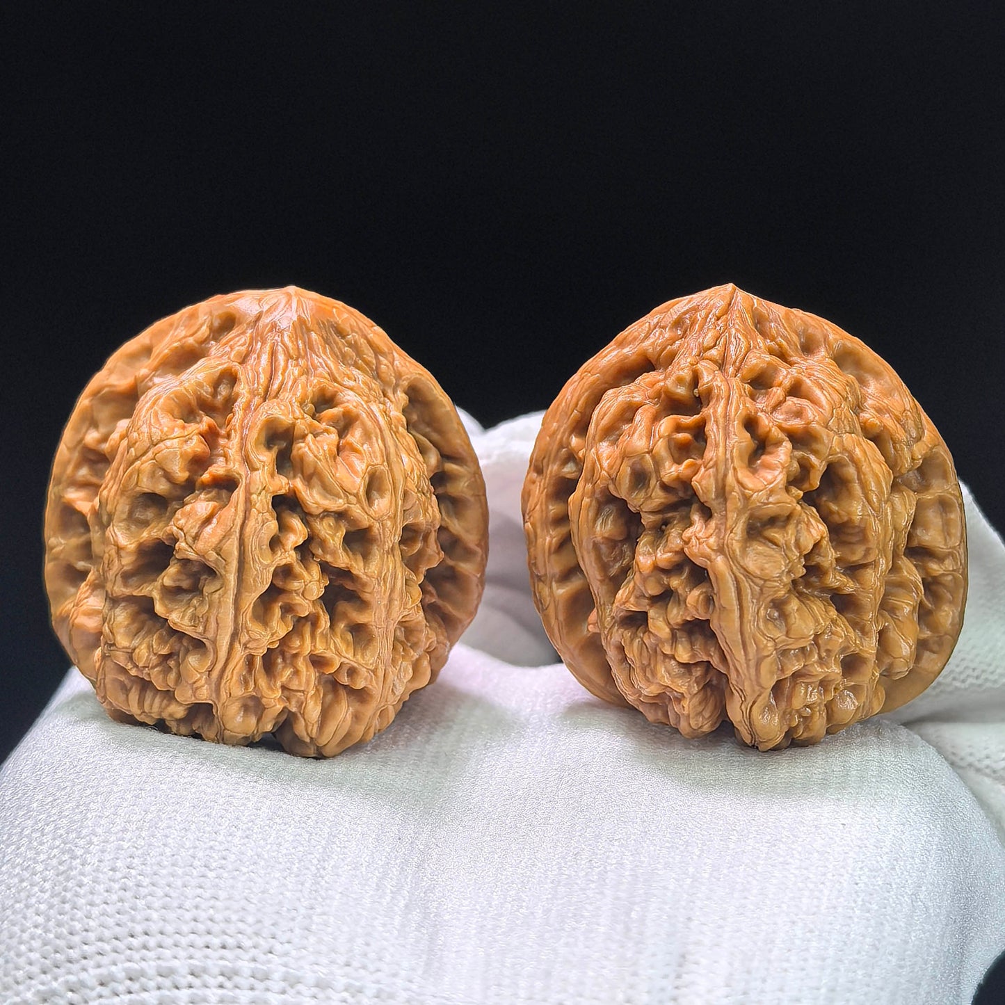 The Spectacular "Thick Ridge" Cujin Lion Head Masterpiece | 39.0mm x 42.0mm | CJ-1402
