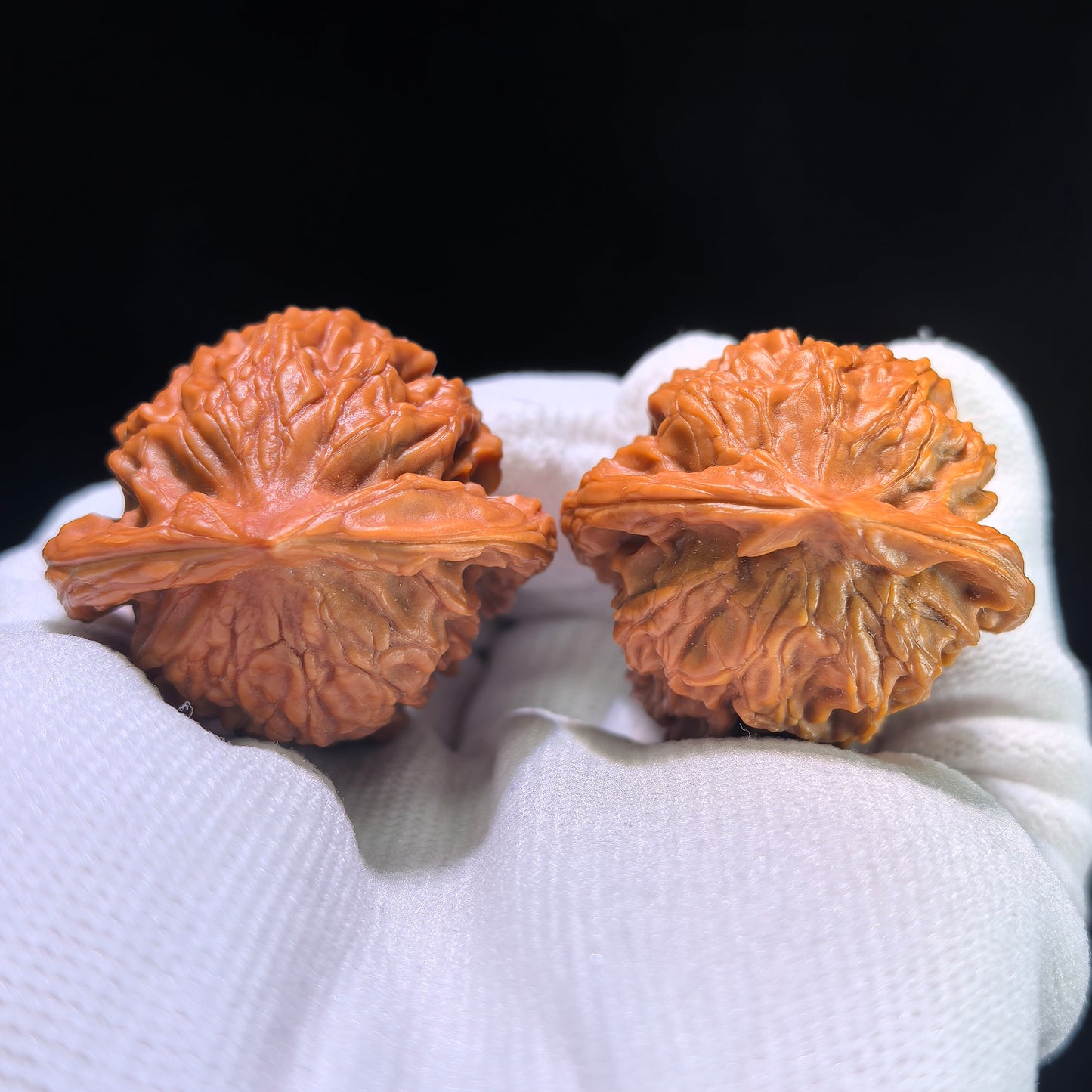 The "Exotic Dolphin" (Xiao Hai Tun) Matched Pair | XHT-802