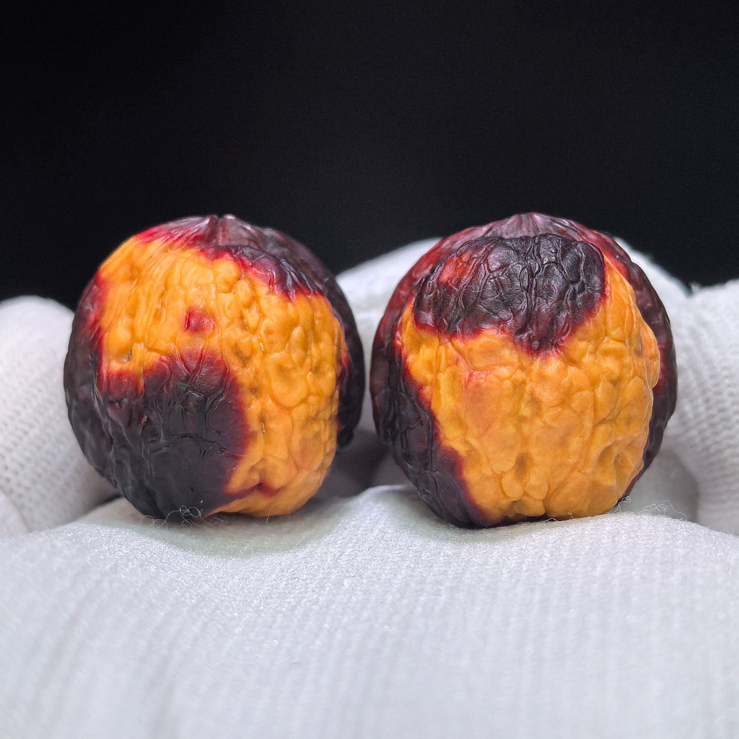 "Earth-Muffled Rainbow Little Flat-Top Toad" (Qi Cai Xiao Ping Tou Chan Di Men) Scholar Walnuts Pair | 25.0mm x 30.0mm | Miniature Pocket Format (Shou Nian) | Stock ID: QCCDM-101SY