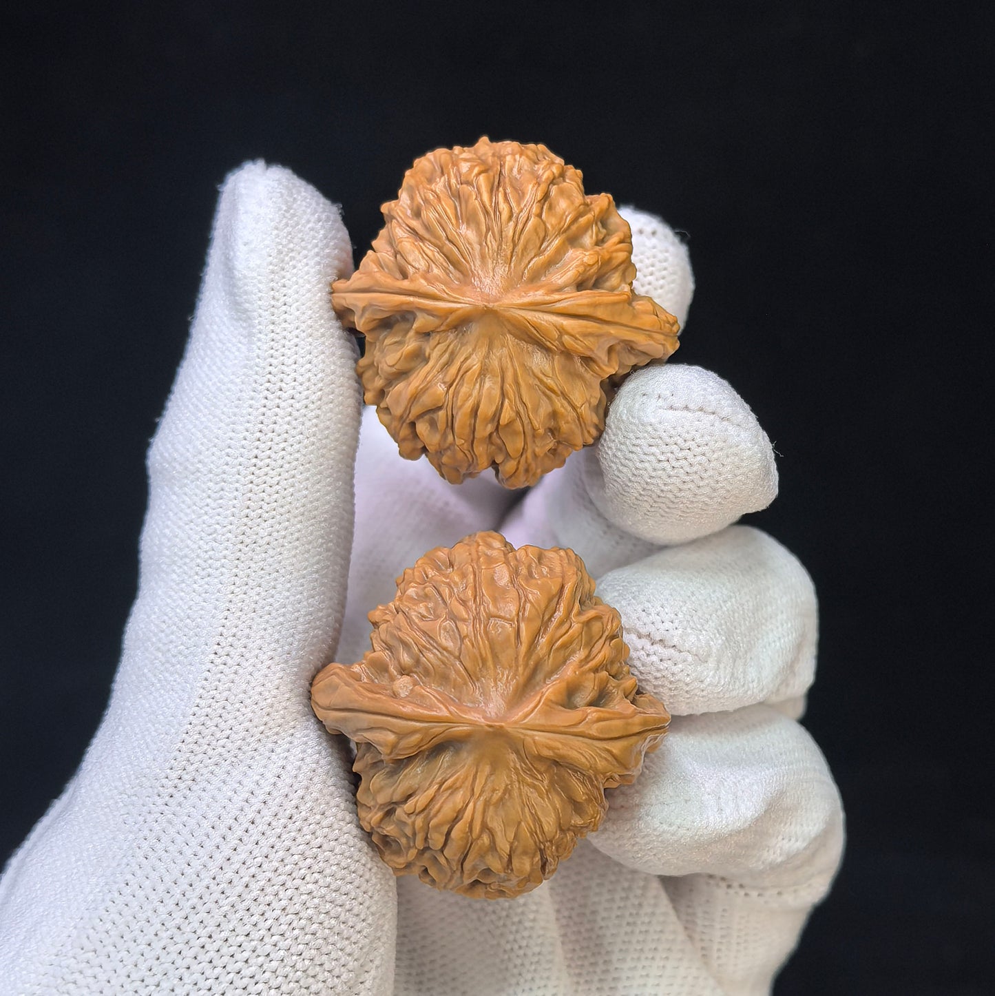 "Yearning Love" (Xiang Si) Scholar Walnuts Pair | 33.0mm x 32.0mm | Miniature Pocket Format (Shou Nian) | Stock ID: XS-SY1C2