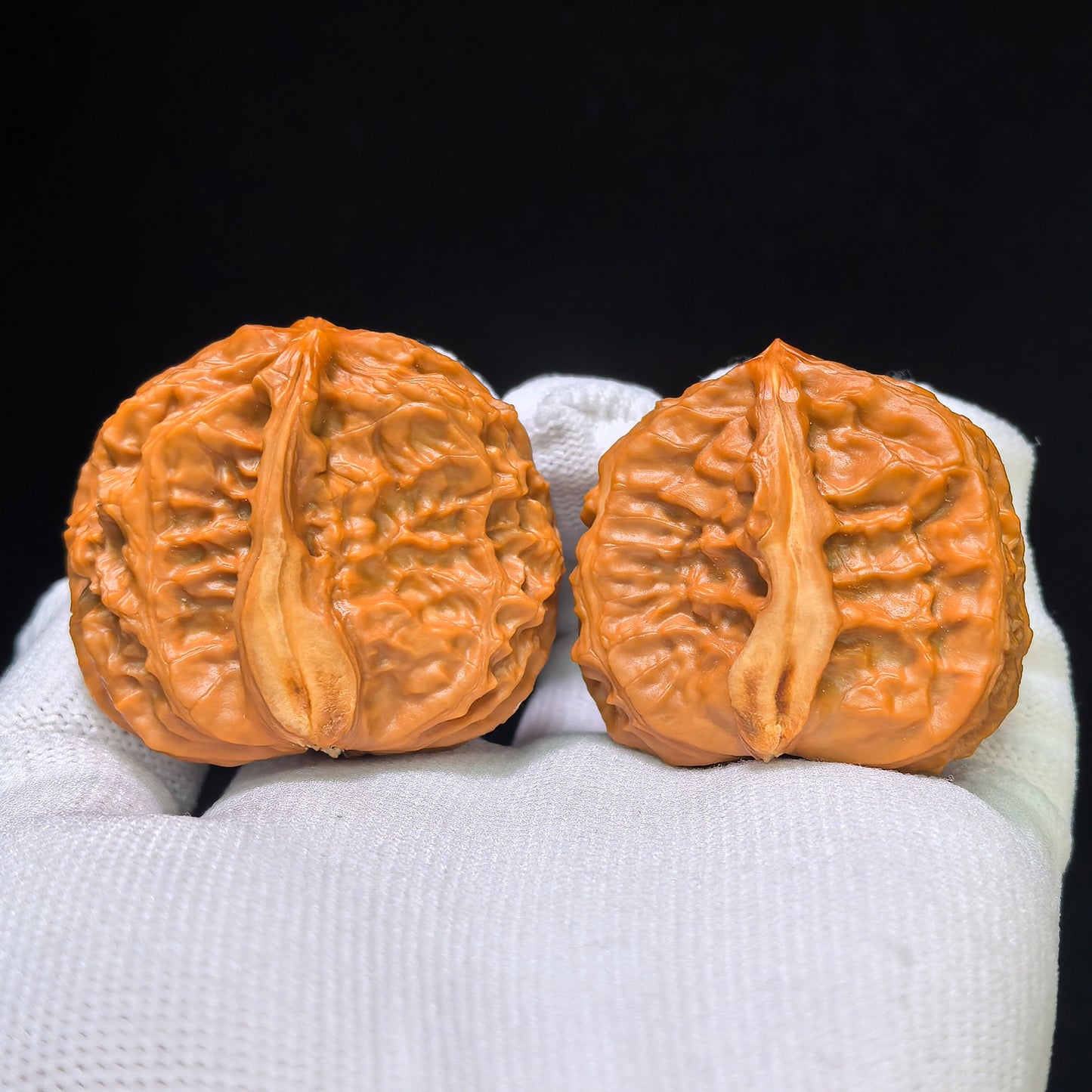 The Rare "Half-Wall White Lion" Baishizi Banbi Lion Head Pocket Masterpiece | 30.0mm x 41.0mm | BBZBB-401E