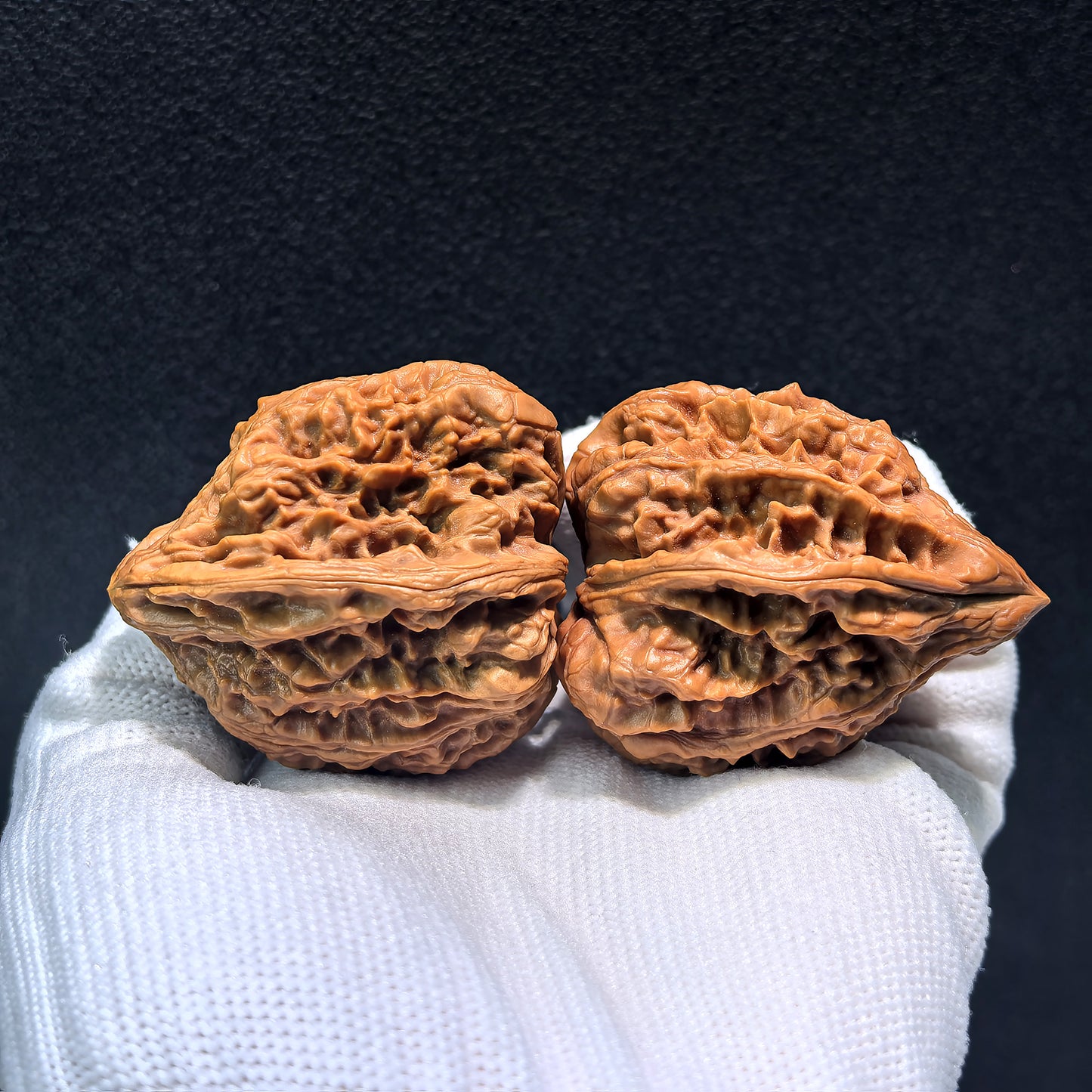 The "Nine Dragons Thick Ridge" (Jiu Long Yu Cu Jin) Pair | 40.0mm x 42.0mm | CJ-401