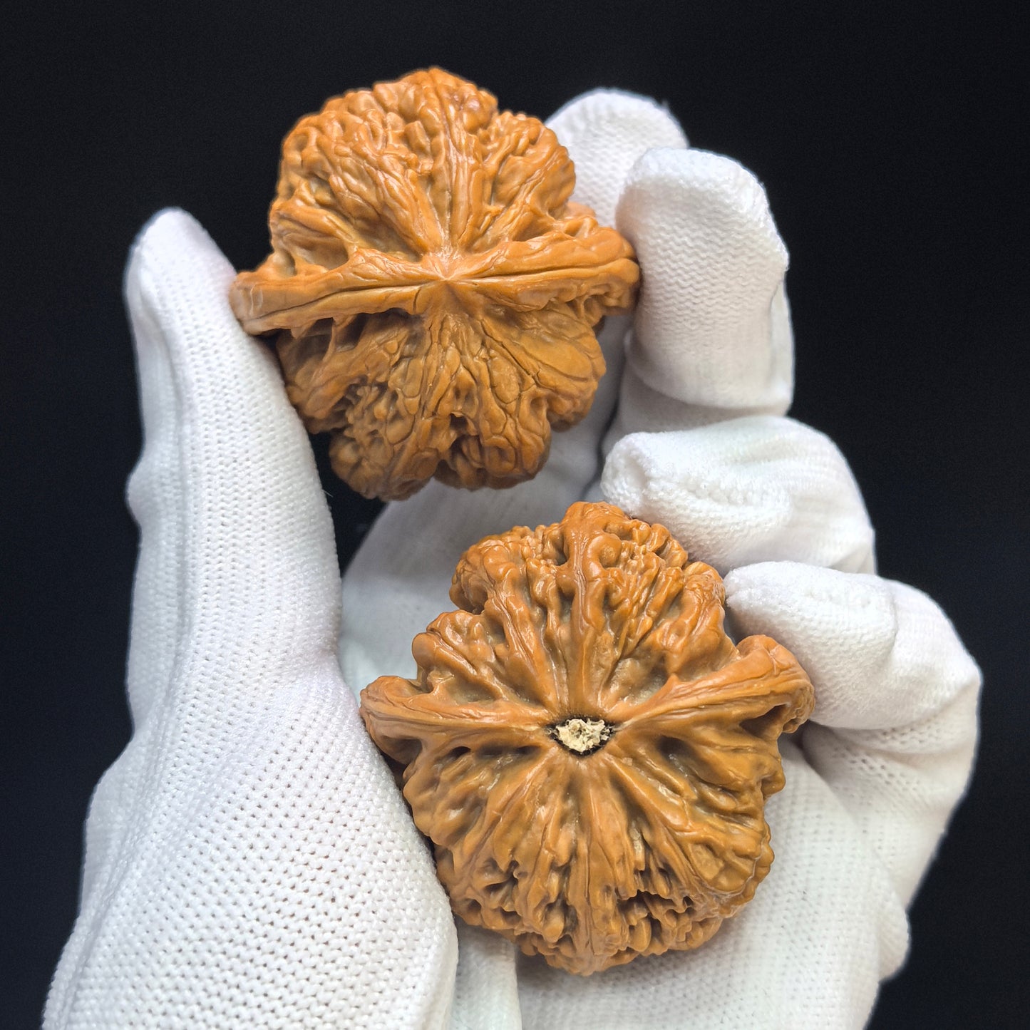 "Thick Ridge" Cujin Wenwan Walnuts Pair | 44.0mm x 44.0mm | CJ-101SY
