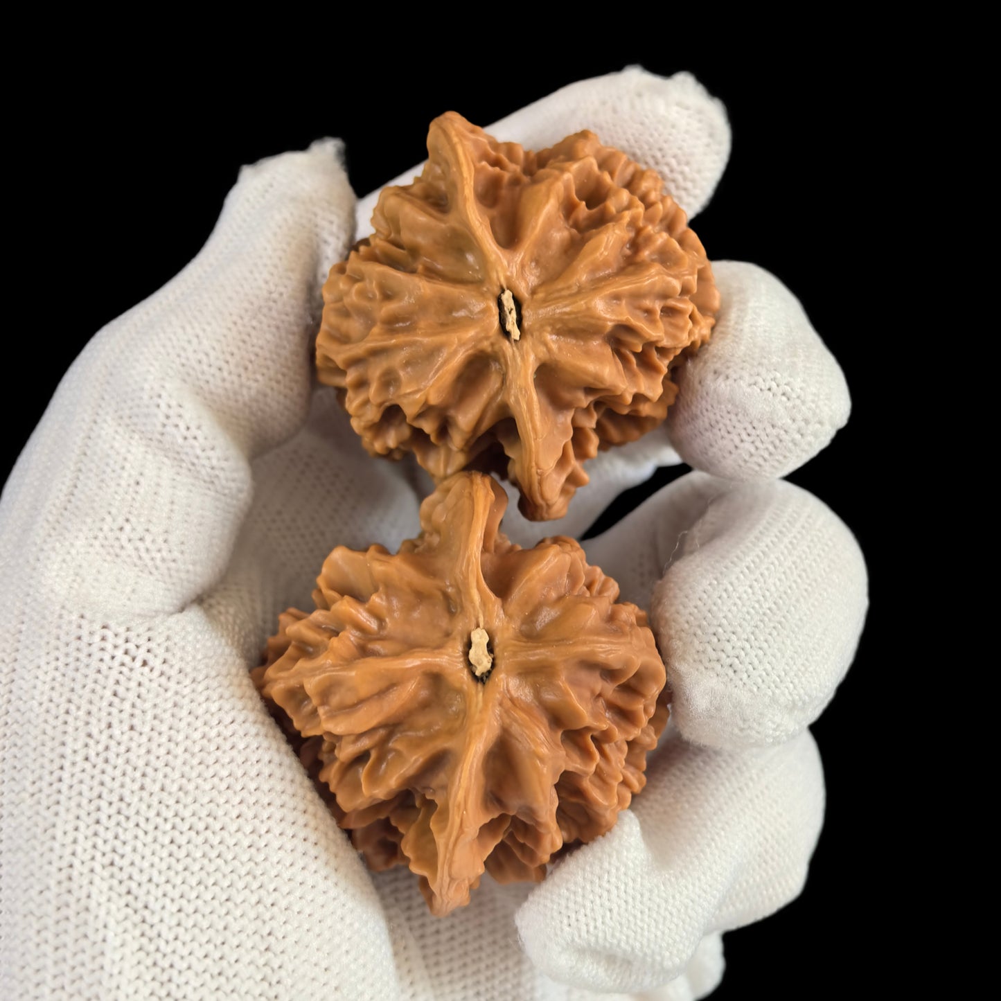 The "Emperor" (Zhonghua Dahua) Pair | 41.0mm | DWZHDH-02