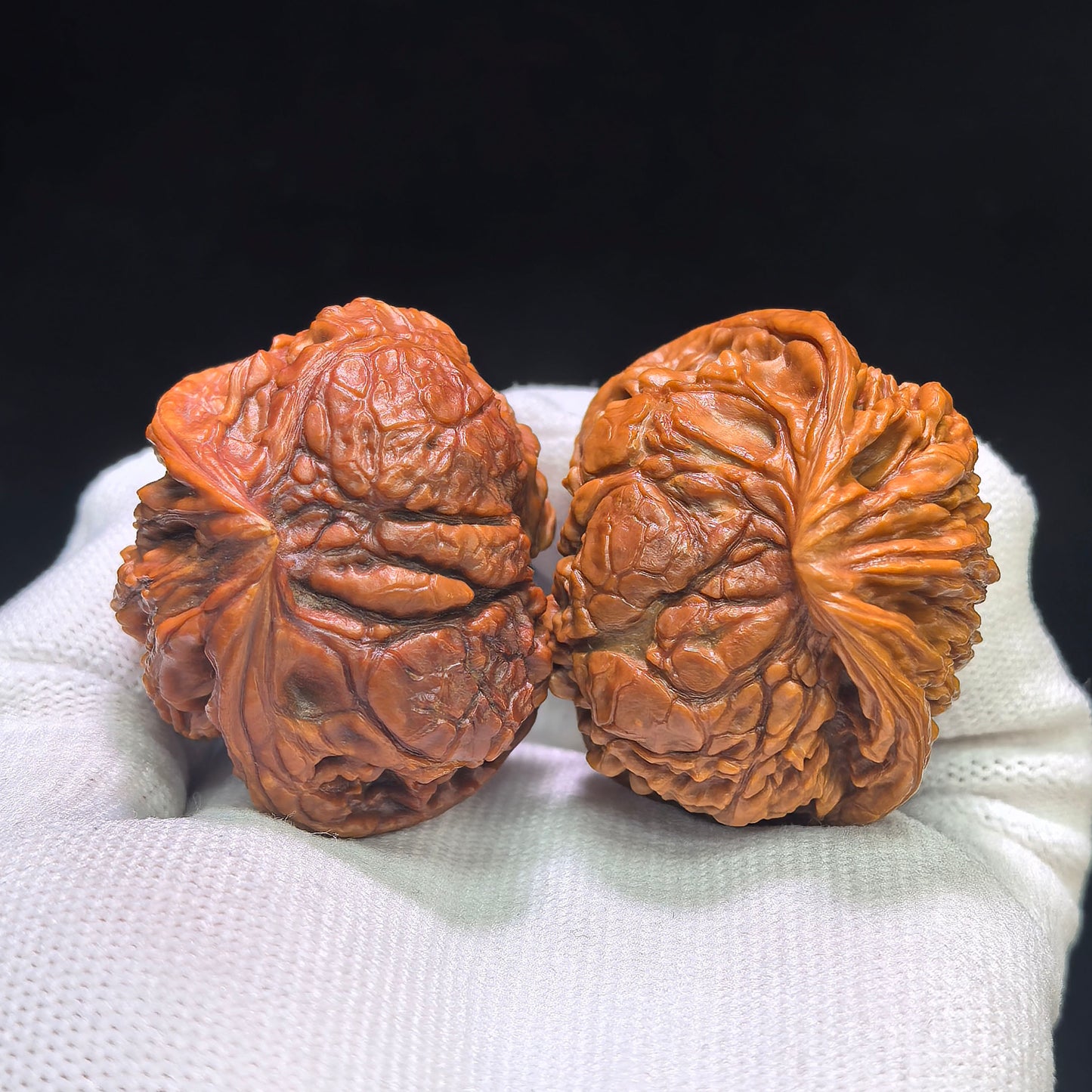 "The Serpent King & Queen" (Shewang Shehou) Scholar Walnuts Pair | 41.0mm x 35.0mm | Legendary Heritage Matching | Exclusive Collector Grade Masterpiece | Stock ID: SWSH-C01E
