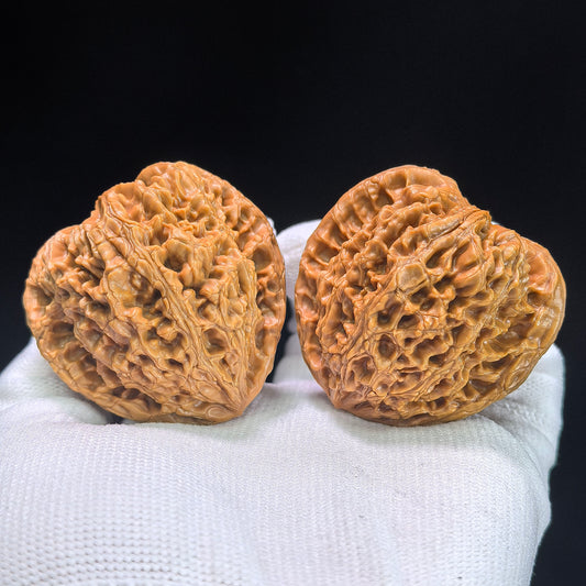 Hu Tou Wang (Tiger Head King) "Peach Heart" Variant Scholar Walnuts | Premium Select 44.0mm x 39.0mm | Stock ID: TXHTW-1351C