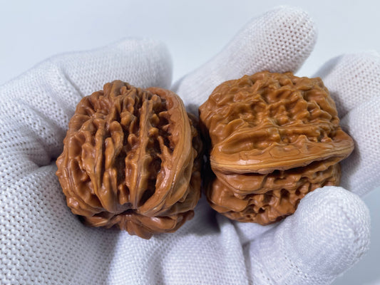 The "King" of Lion Heads | Sizuolou (Four Towers) Walnut Pair 39MM