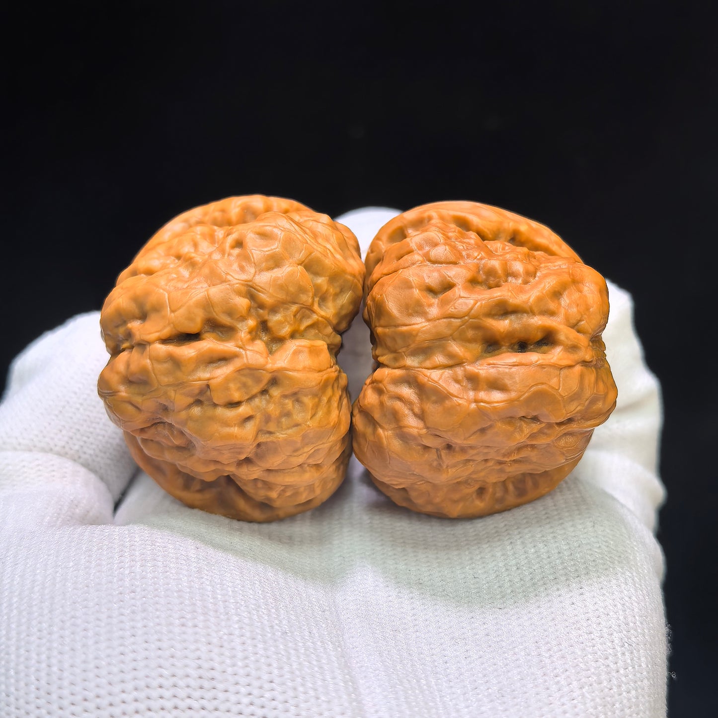 Hamatou (Toad Head) Premium Select Pair | 43.0mm x 42.0mm | Classic Low-Profile Ingot Posture | Stock ID: HMT-401C