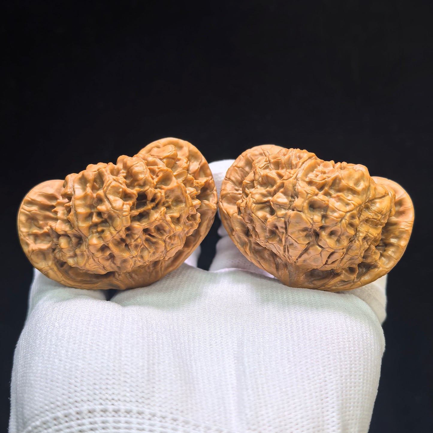 "Dragon Tripod Low Profile" Longding Aizhuang Wenwan Walnuts Pair | 55.0mm x 50.0mm | LD-1552C