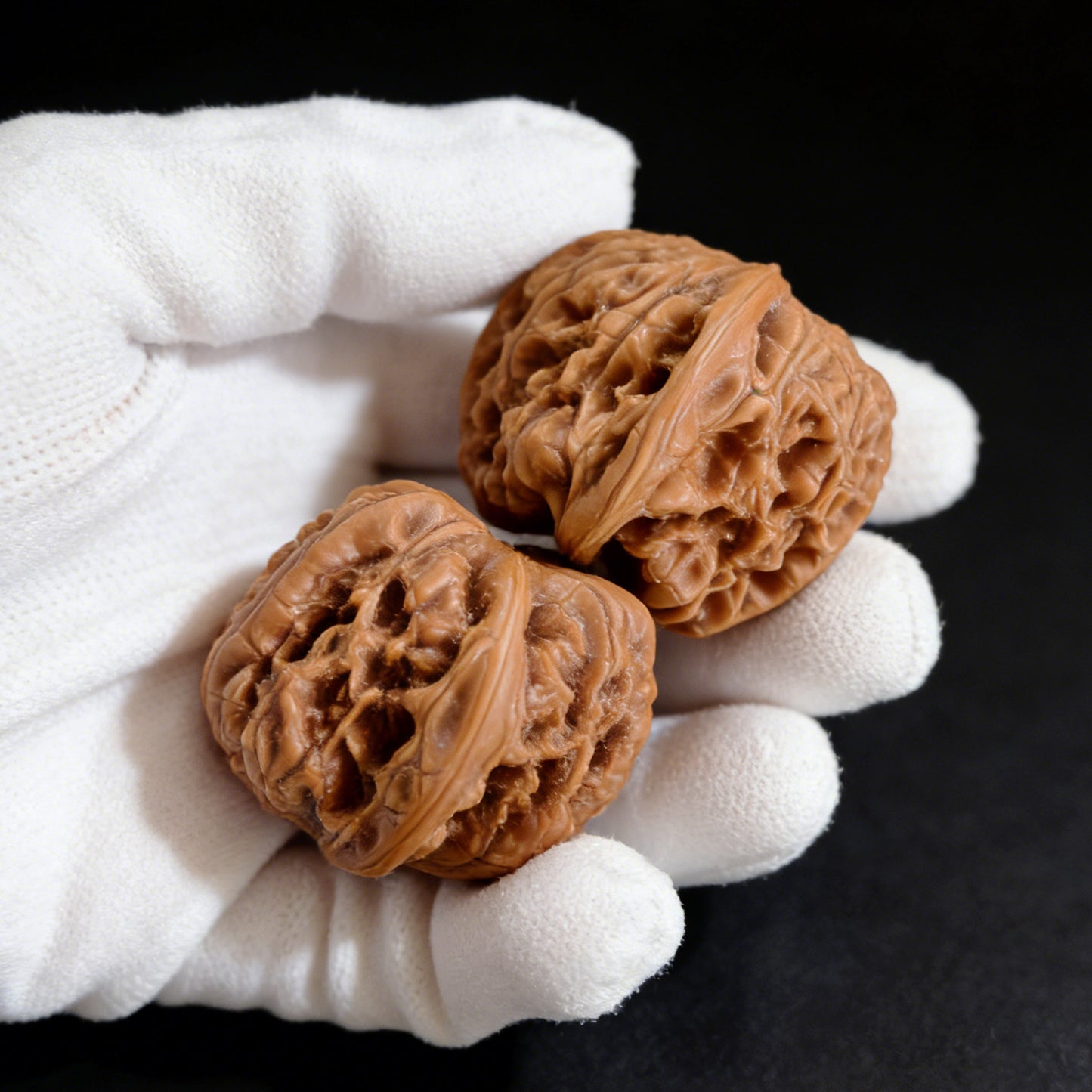 The "Dragon Cave Valley" (Long Dong Yu) Pair | 39.0mm x 37.0mm | LDY-01