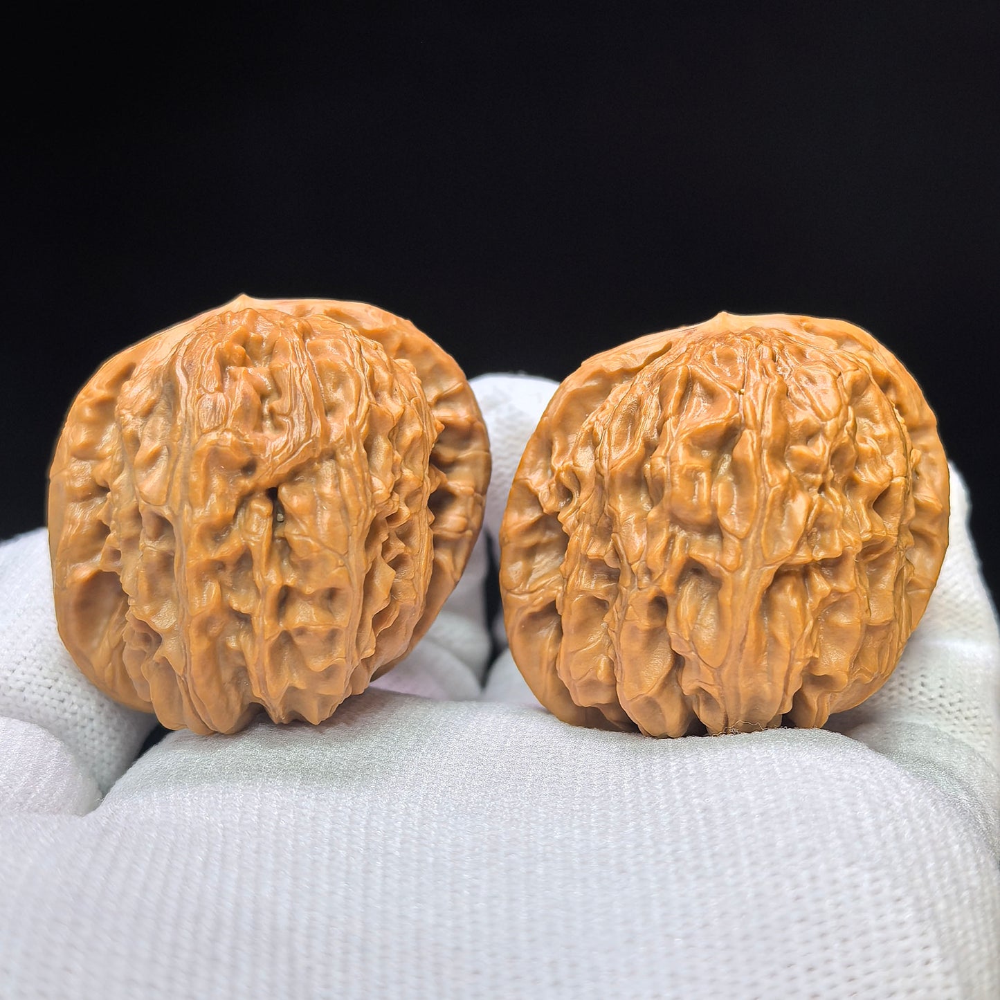 "White Lion Half-Wall" Baishizi Banbi Wenwan Walnuts Pair | 40.0mm x 41.0mm | BSJBB-C236E