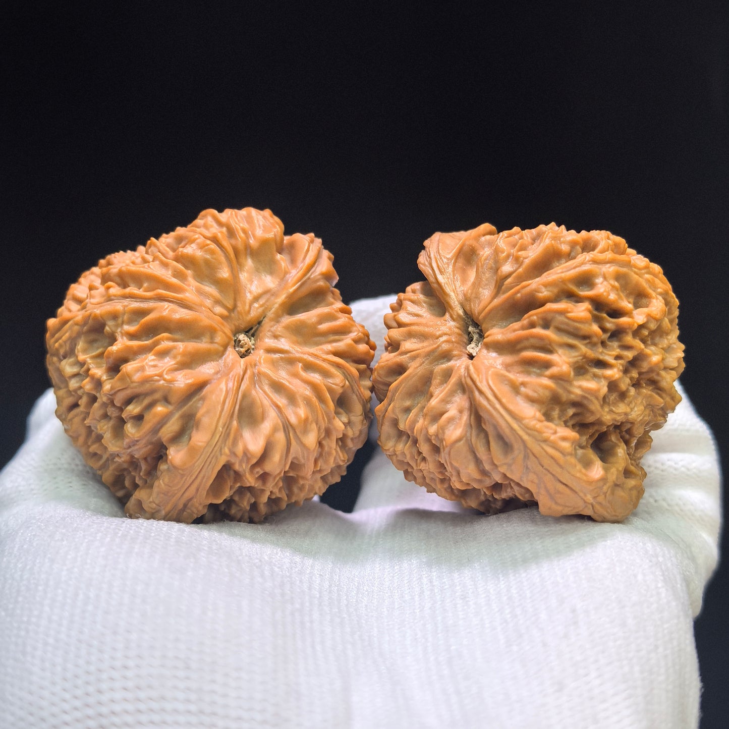 "Concave Base Nanjiangshi" Nanjiangshi Aodi Wenwan Walnuts (Pair) | 49.0mm x 45.0mm | Stock ID: NJS-1551C