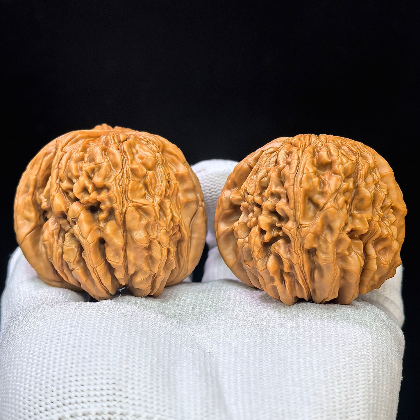 "Hua Kun Dragon" Huakunlong HKL-17E3 Low-Profile Wenwan Walnuts Pair | 47.0mm x 49.0mm | HKL-17E3