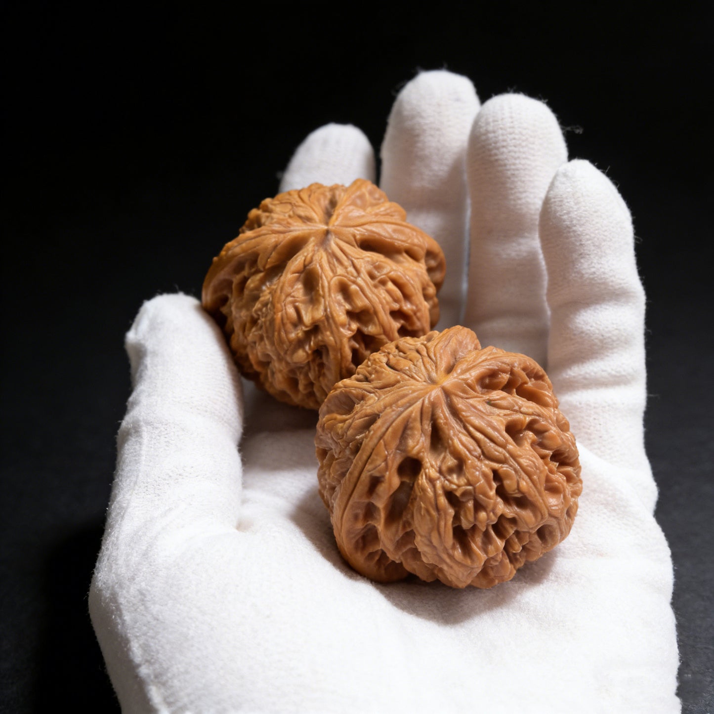 The "Tendon Vein" (Cujin) Pair | 42.0mm | CJ-01