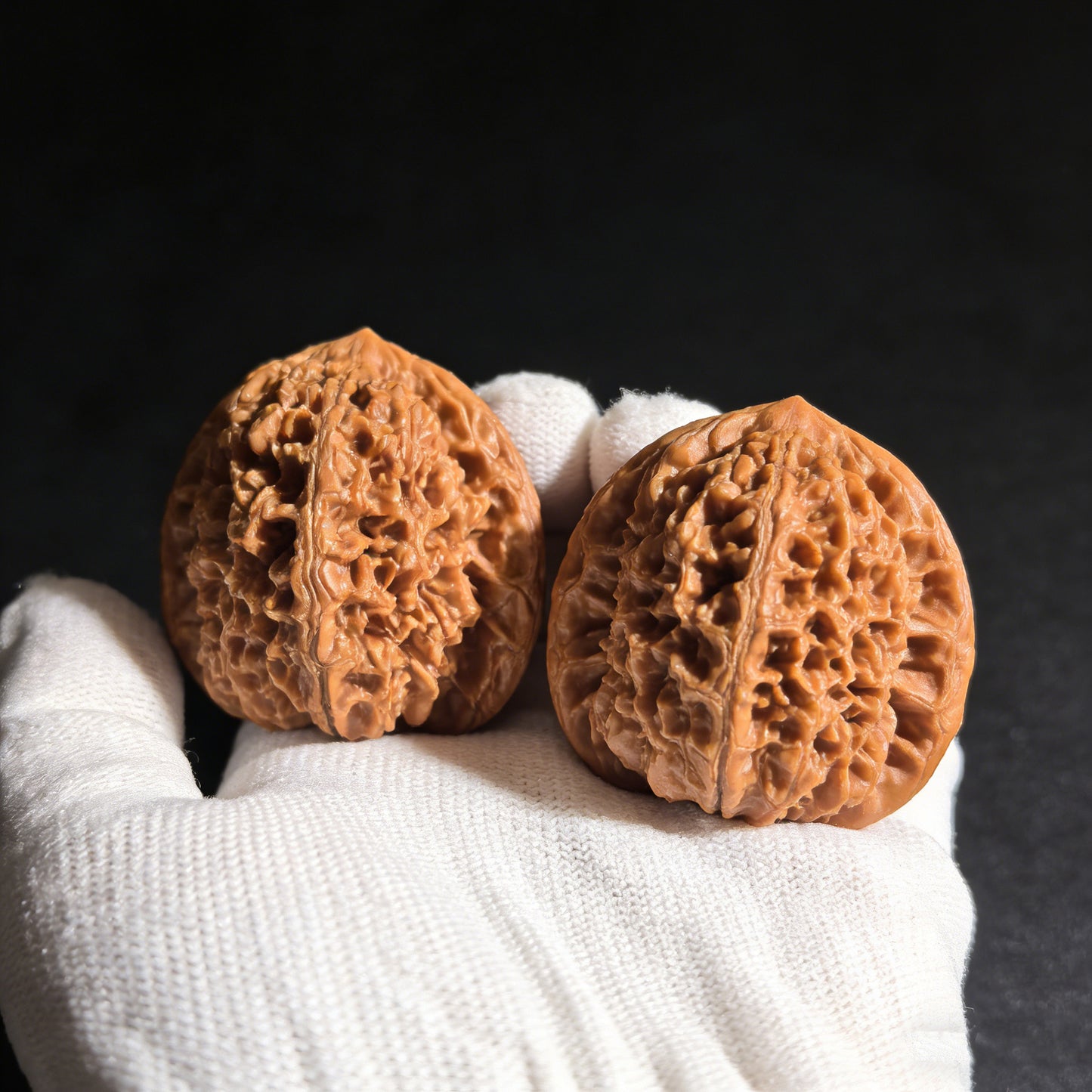 The "Big Thorn" (Da Ci) Pair | 46.0mm x 44.0mm | DC-01