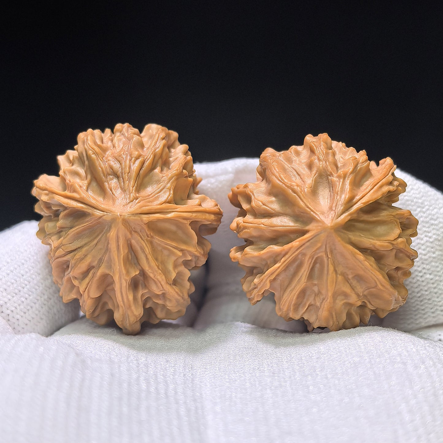 The Eternal „Qishan Lifetime Devotion“ Qishan Yishengyishi Pocket Mutation | 31.0mm x 34.0mm | QSYSYS-401E