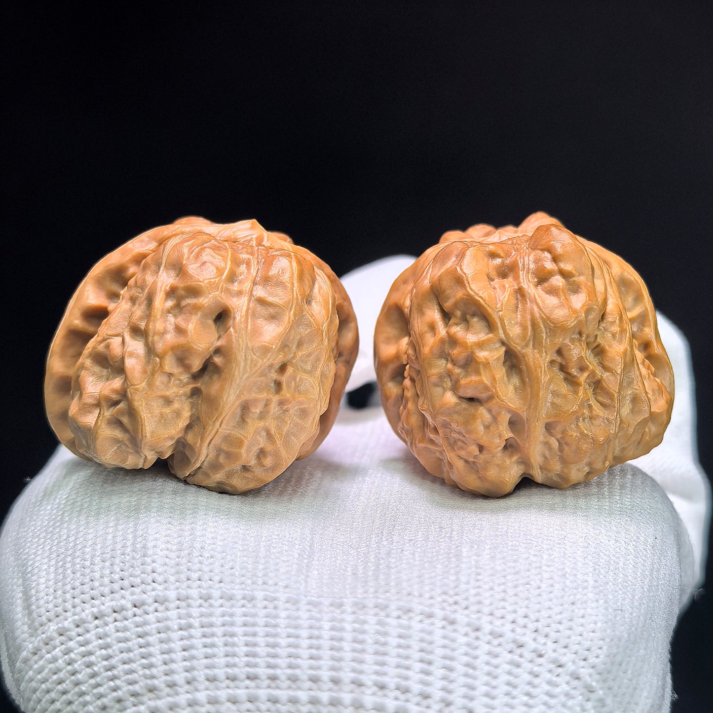 "Toad Head Crippled Foot" Hama Tou Tiancan Jiao W-1407 Low-Profile Wenwan Walnuts Pair | 38.0mm x 41.0mm | W-1407