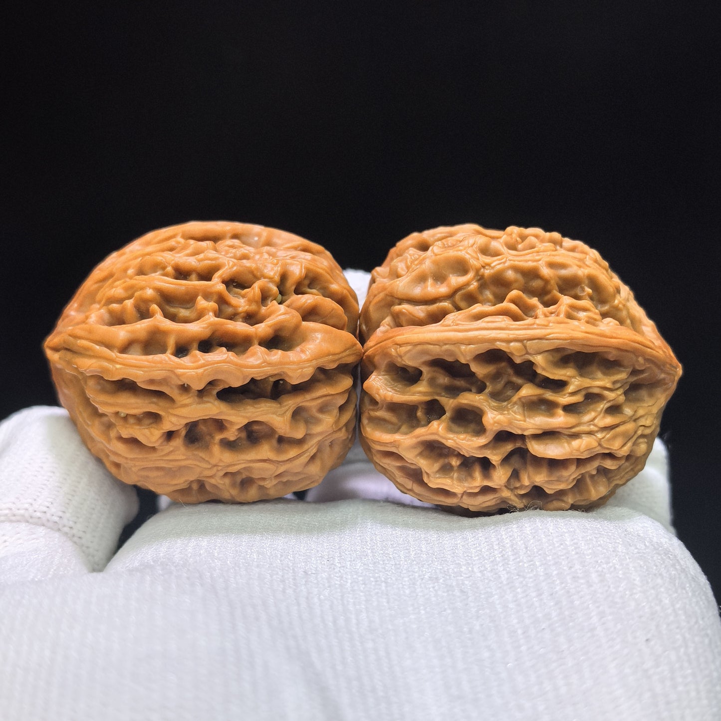 Three-Ribbed "Nine Dragons Sinew" (Jiulongjin Sanling) Scholar Walnuts Pair | 38.0mm x 41.0mm | Deep-Belly Geometry | Singularities Grade Masterpiece | Stock ID: JLJSN-1401E