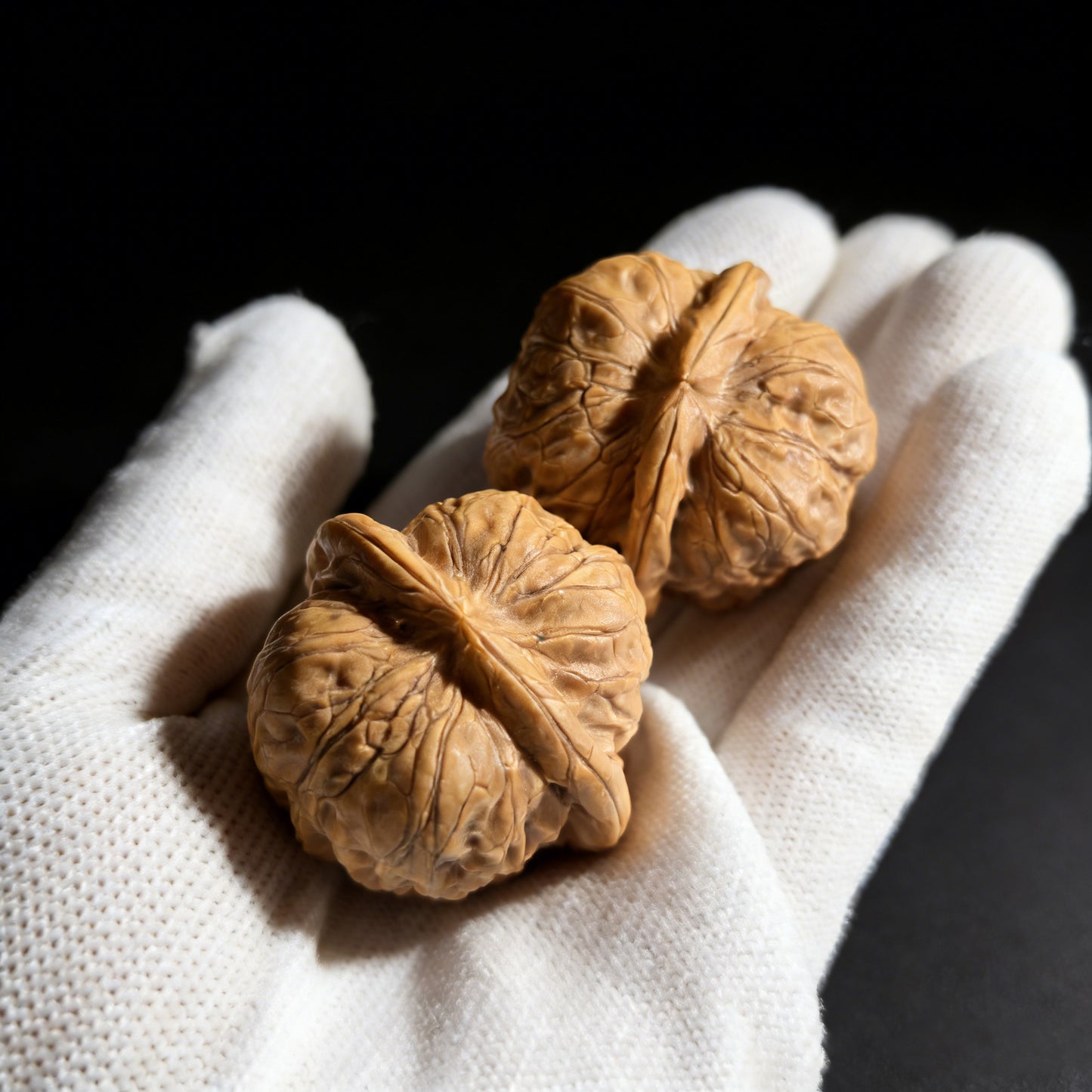 The "Dharma" (Damo) Pair | 35.0mm x 34.0mm | DM-01