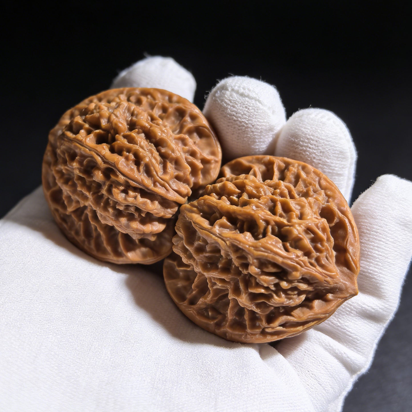 The "Coiled Dragon" (Pan Long Wen) Pair | 32.0mm x 32.0mm | PLW-01