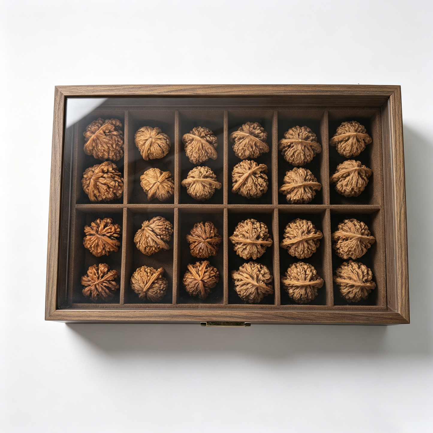 Premium 12-Compartment Wenwan Walnut Collection Storage Box | Wooden Display Case for Scholar Walnuts & Patina Treasures | [US Domestic Shipping Only]