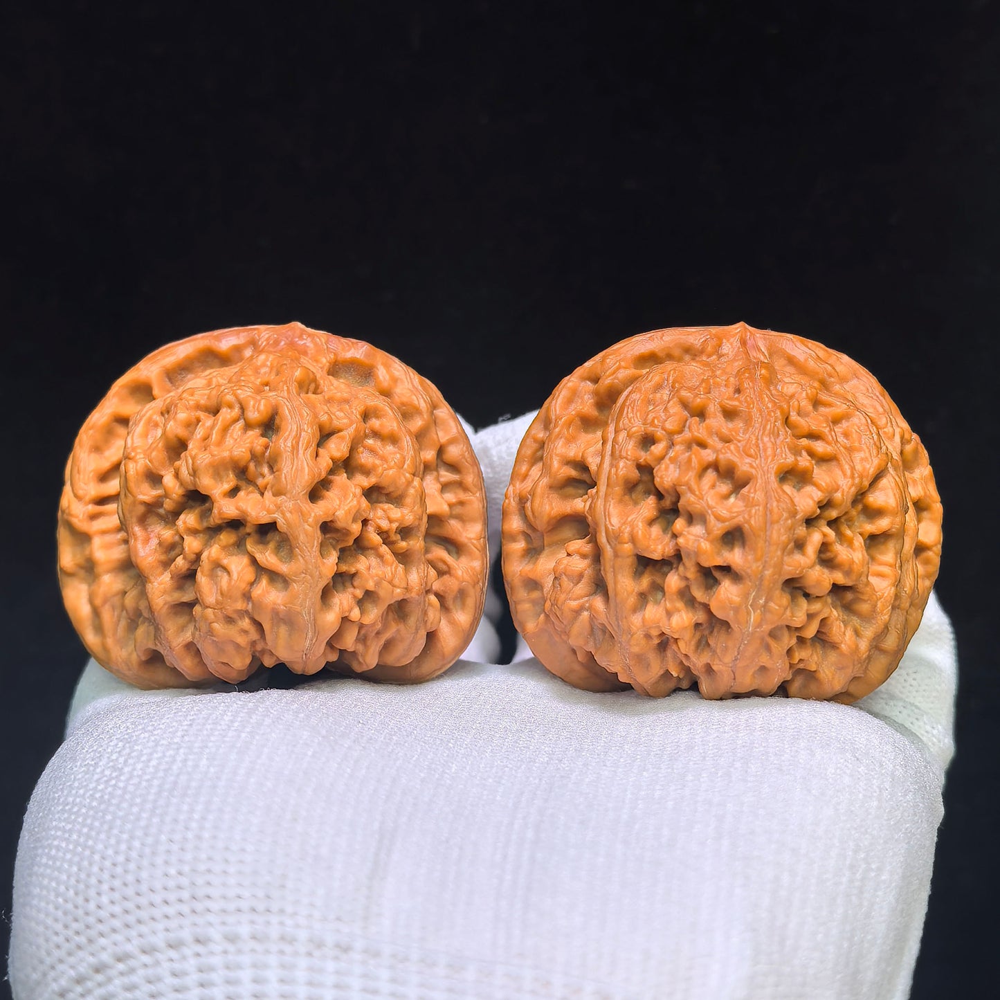 "Large Thick Rib" Dacujin Wenwan Walnuts Pair | 48.0mm x 47.0mm | DCJ-1551C