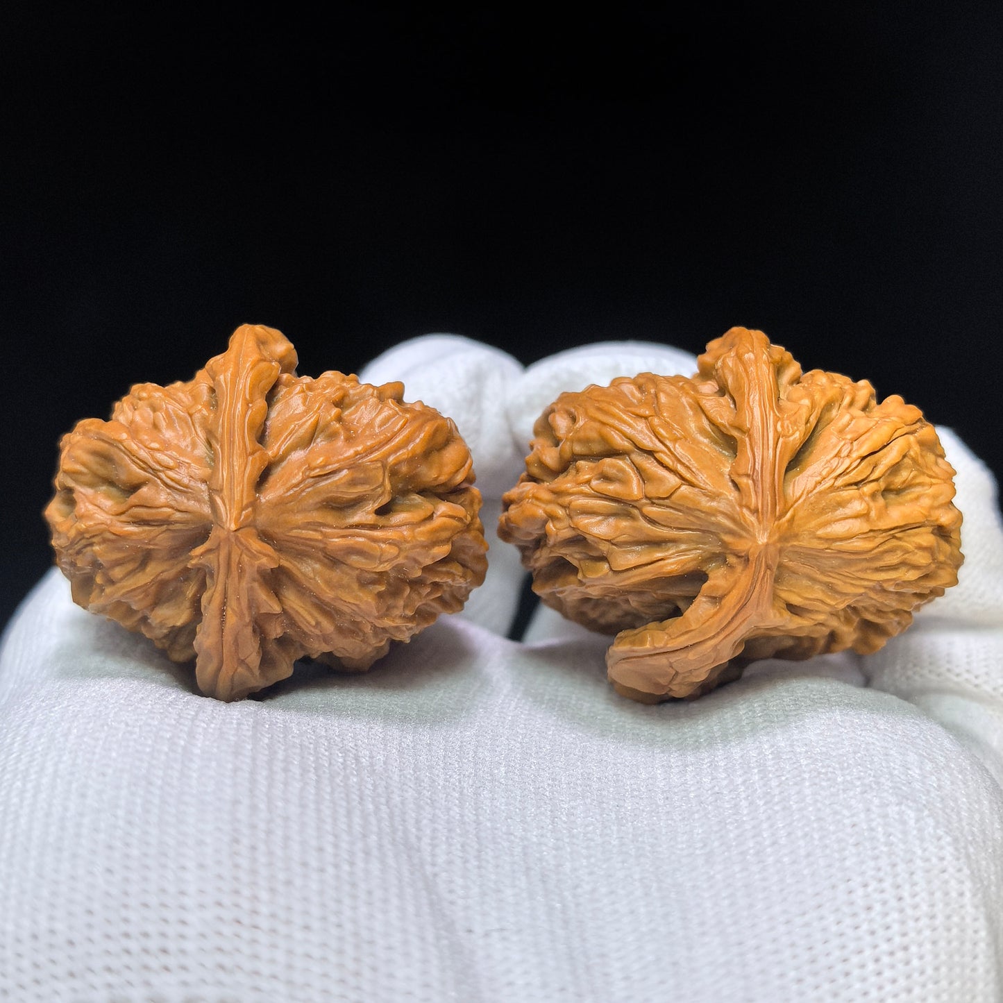 "White Lion Half-Wall" Baishizi Banbi Wenwan Walnuts Pair | 35.0mm x 42.0mm | BSJBB-C237E
