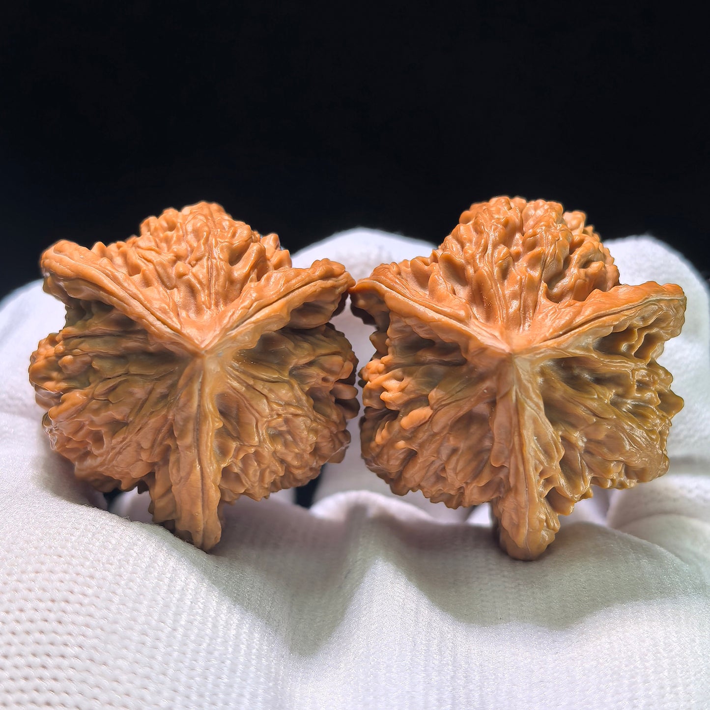 The "Wild Bison Owl" (Ye Niu Mao Tou Ying) Investment-Grade Three-Ribbed Masterpiece | 38.0mm x 38.0mm | YNSN-1301E