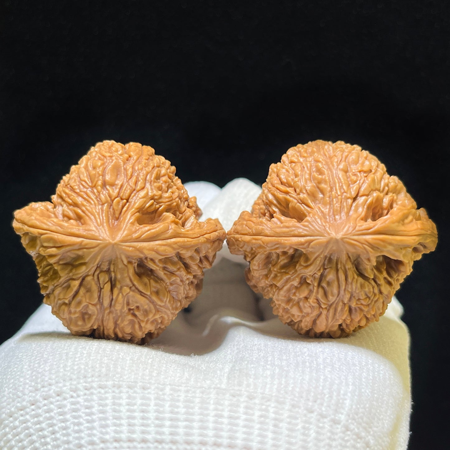 The Renowned "Red-Shell Nanjiang Stone" Hongke Nanjiangshi Heritage Pair | 40.0mm x 39.0mm | HPNJS-1101