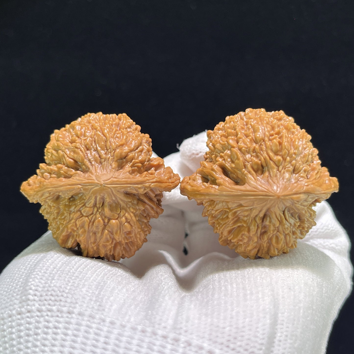 The "Starry Sky" (Man Tian Xing) Ergonomic Robust Pair | 39.0mm x 36.0mm | MTX-902