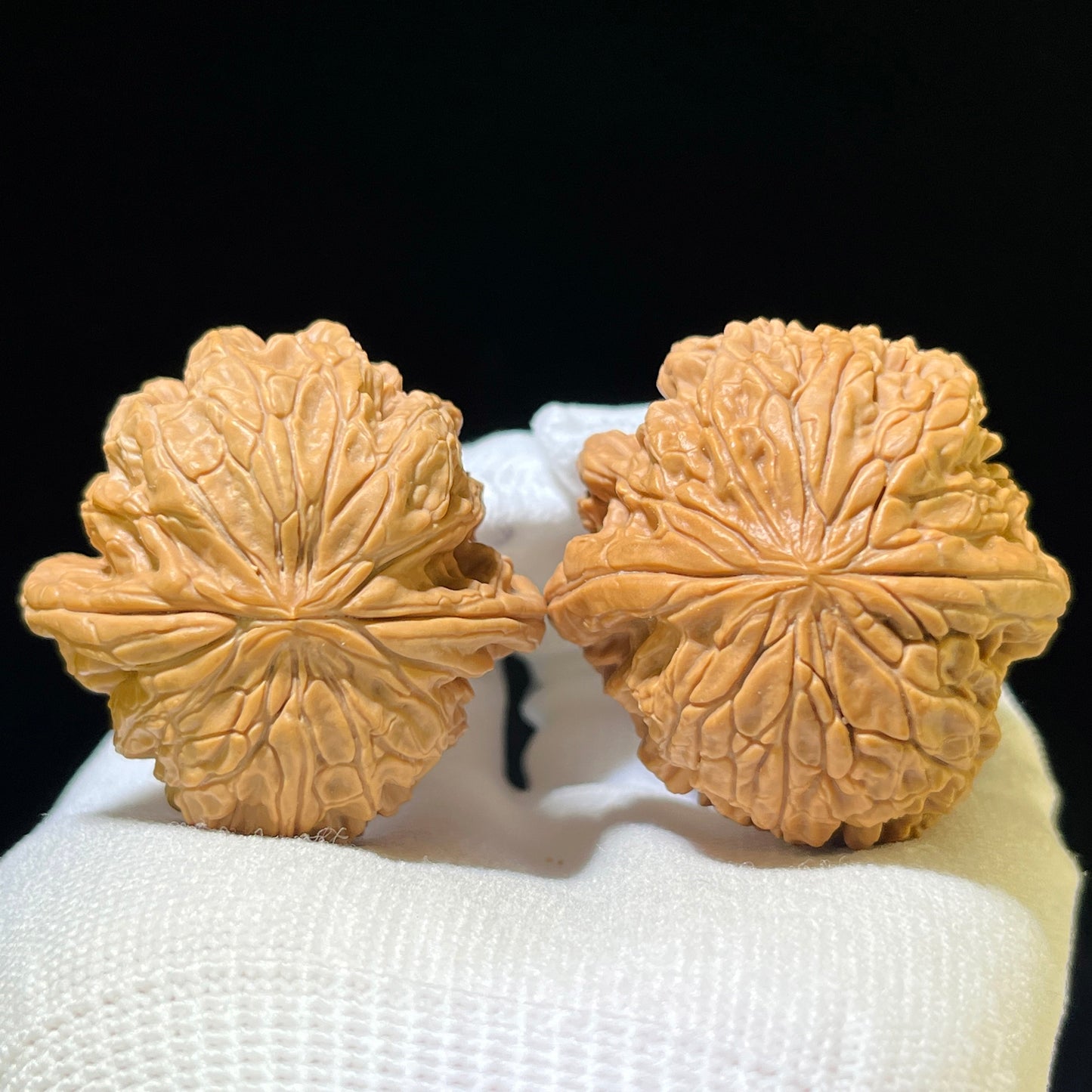 Bao Xue Lion Head (Blizzard Pattern) Scholar Walnuts Pair | 41.0mm x 41.0mm | Stock ID: BX-1102
