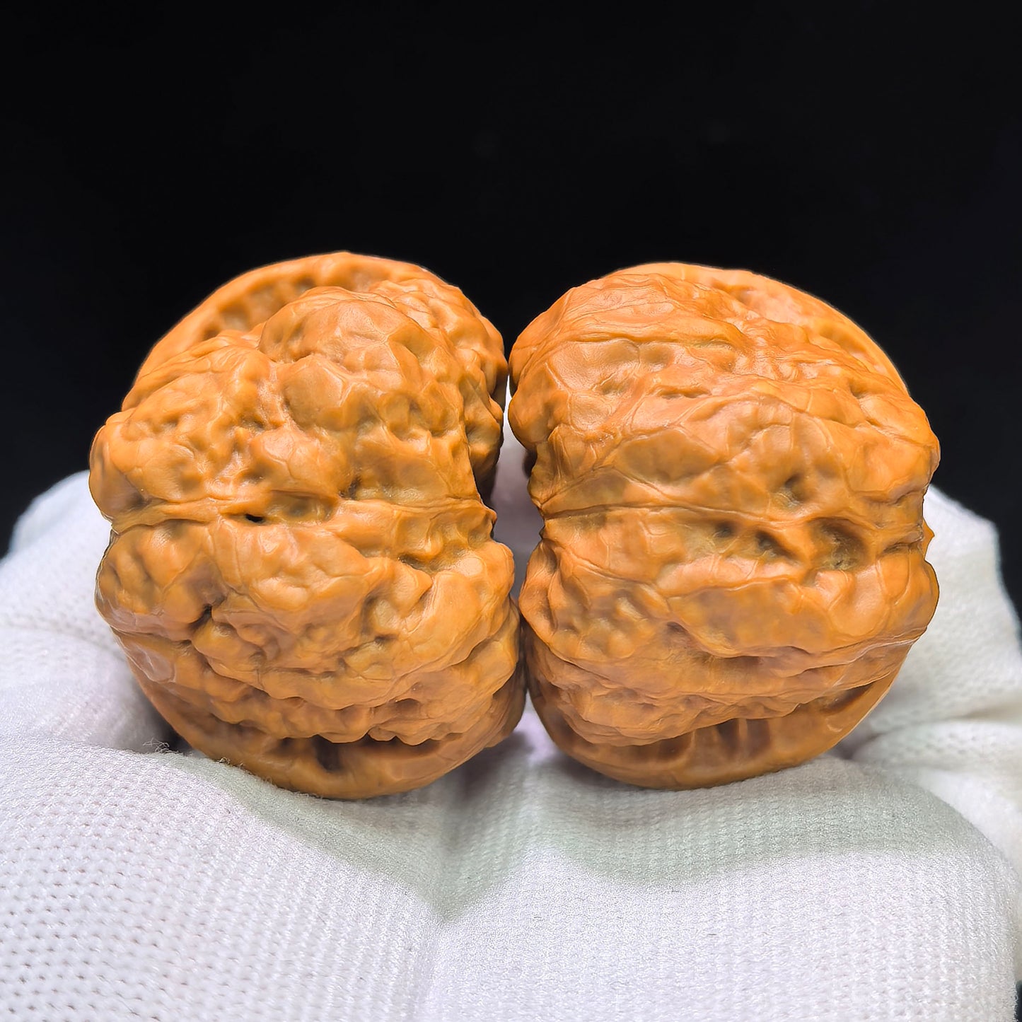 Hamatou (Toad Head) Premium Select Pair | 43.0mm x 42.0mm | Classic Low-Profile Ingot Posture | Stock ID: HMT-401C