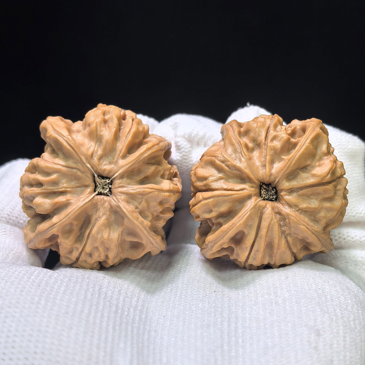 The Sovereign "Imperial Jade Seal Four-Ribbed" Yuxi Sifang Masterpiece | 39.0mm x 39.0mm | YXFN-401E