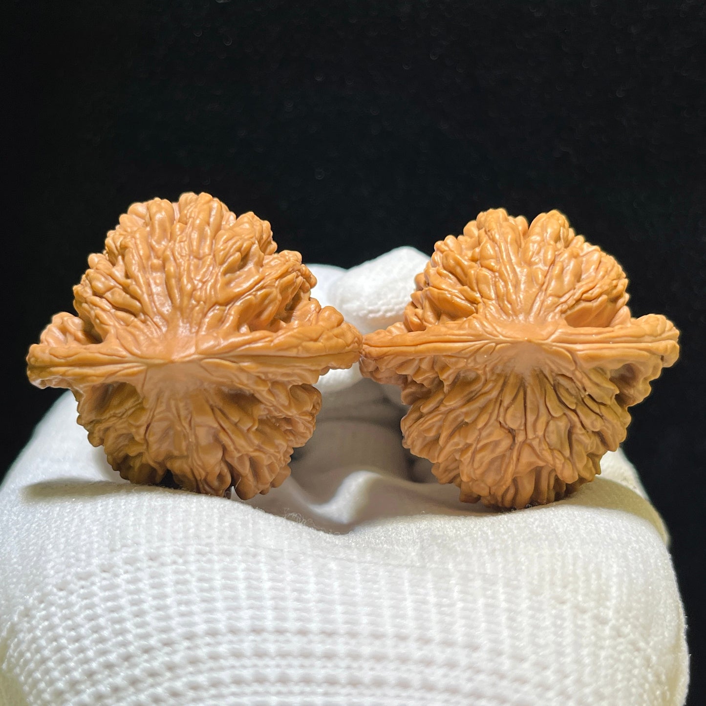 "Wheat Ear Tiger Head" Maisui Hutou Wenwan Walnuts Pair | 40.0mm x 38.0mm | MSHT-1106