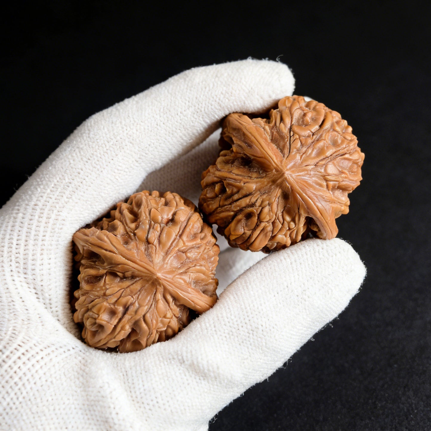 The "Dragon Cave Valley" (Long Dong Yu) Pair | 39.0mm x 37.0mm | LDY-01