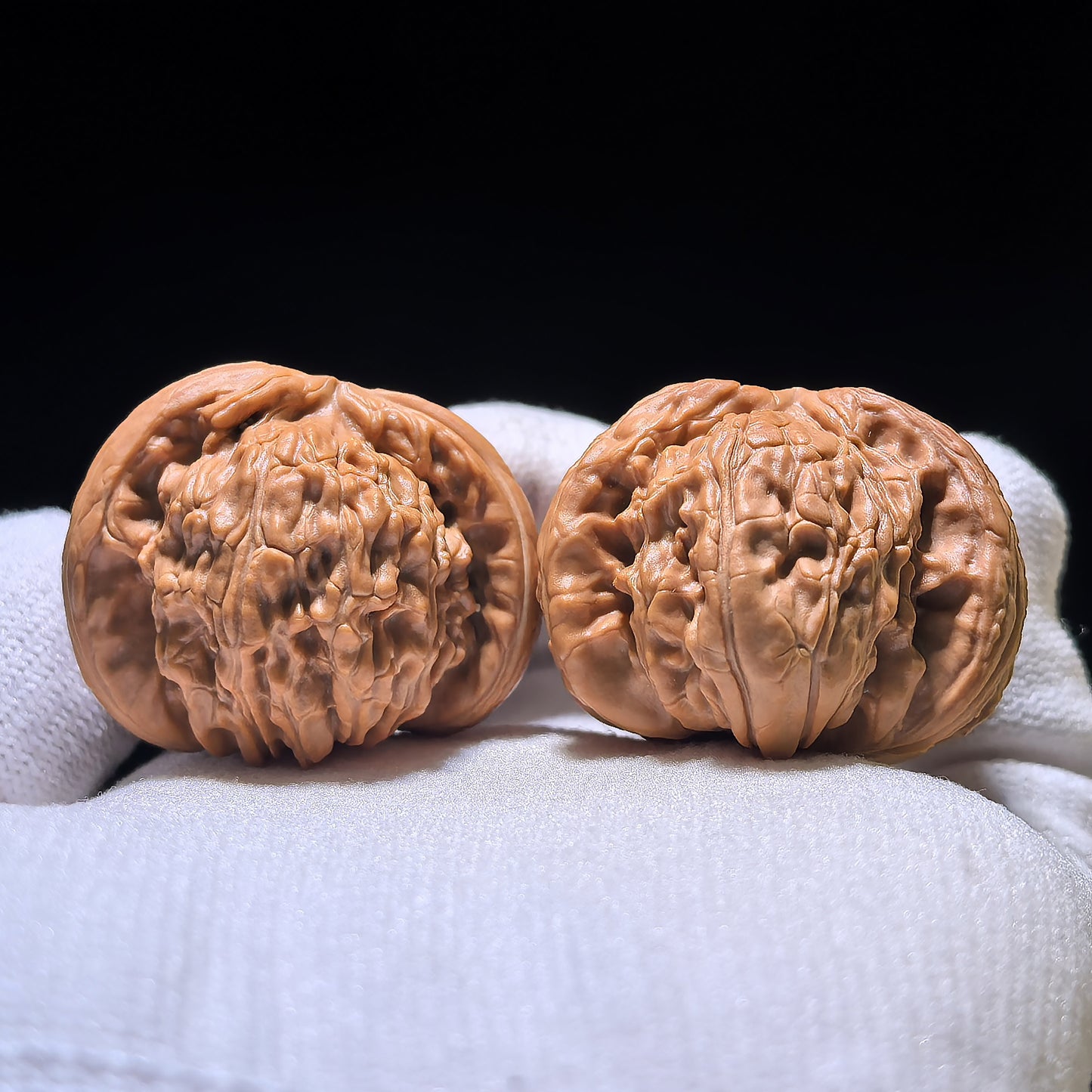The Rare "Flying Snake" Lion Head (Fei She) Matched Pair | 34.0mm x 37.0mm | FSST-1201E