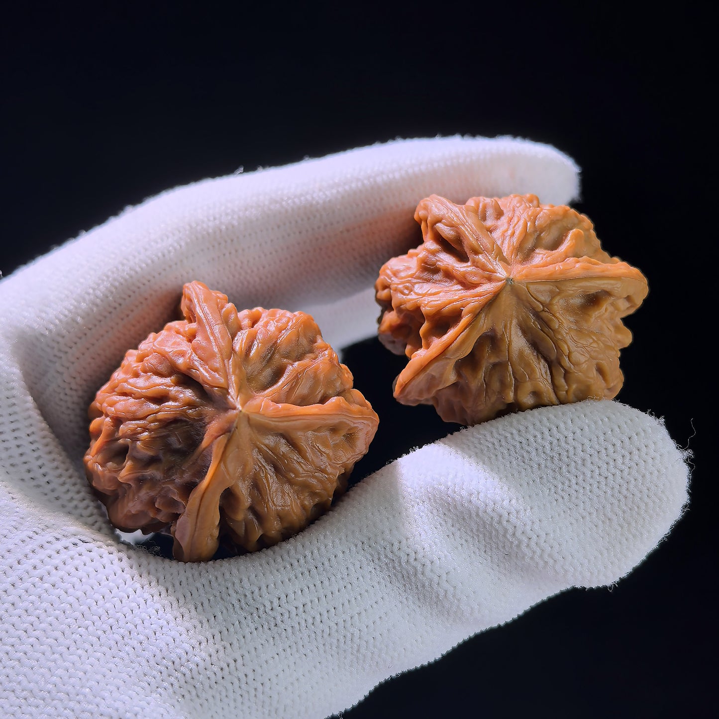 The "Long Zhan" (Dragon Gall) Trident Three-Ridge Pair | 31.0mm x 31.0mm | LZSN-1201E