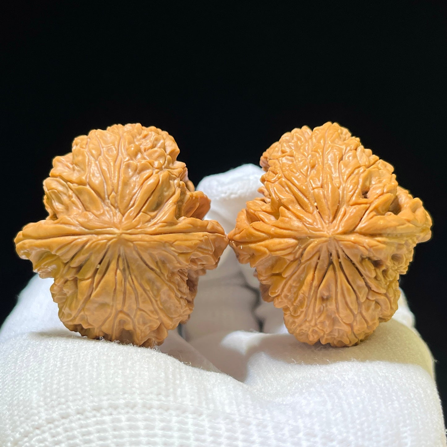 "Blizzard" Mantianxing Blizzard Variety Wenwan Walnuts Pair | 37.0mm x 41.0mm | BX-1109