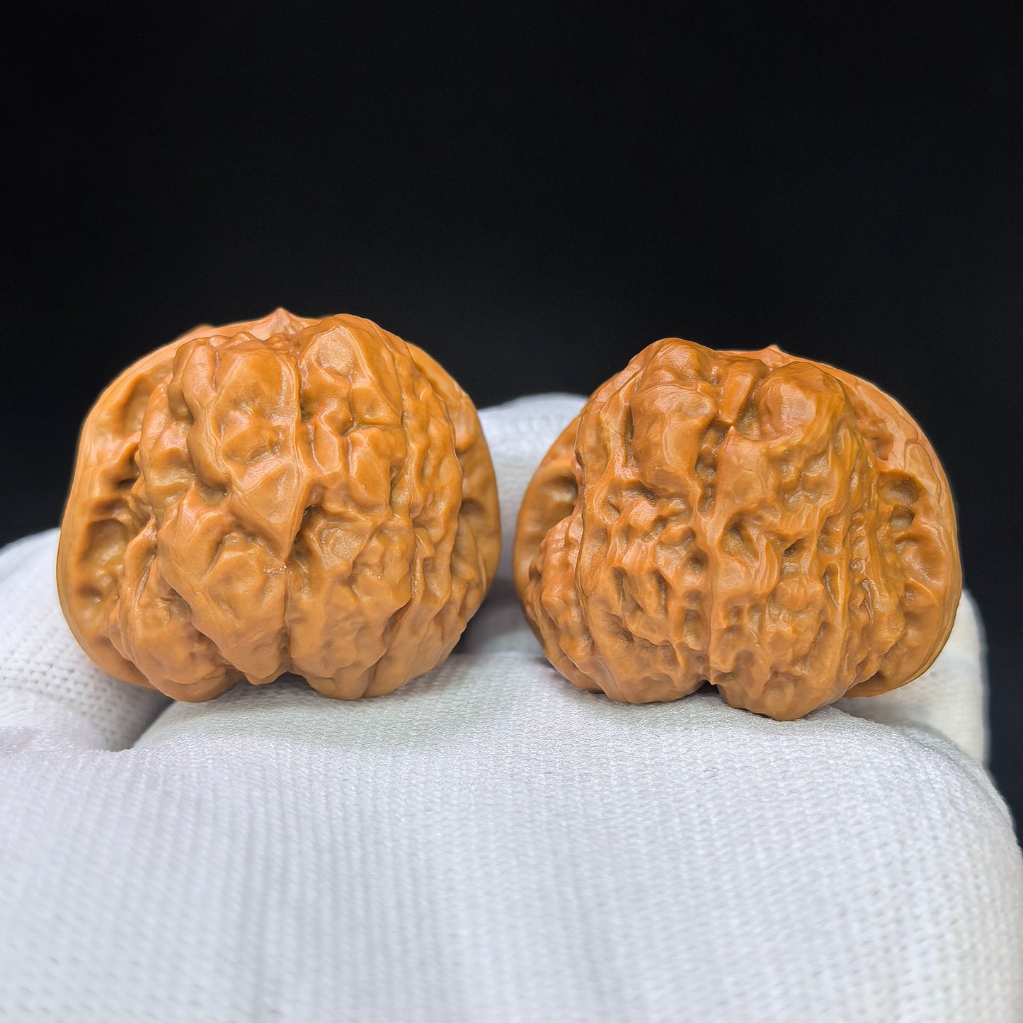 "Crystal Toad Frog" Chanchu Shuijingwa HMT-1503C Low-Profile Wenwan Walnuts Pair | 38.0mm x 40.0mm | HMT-1503C